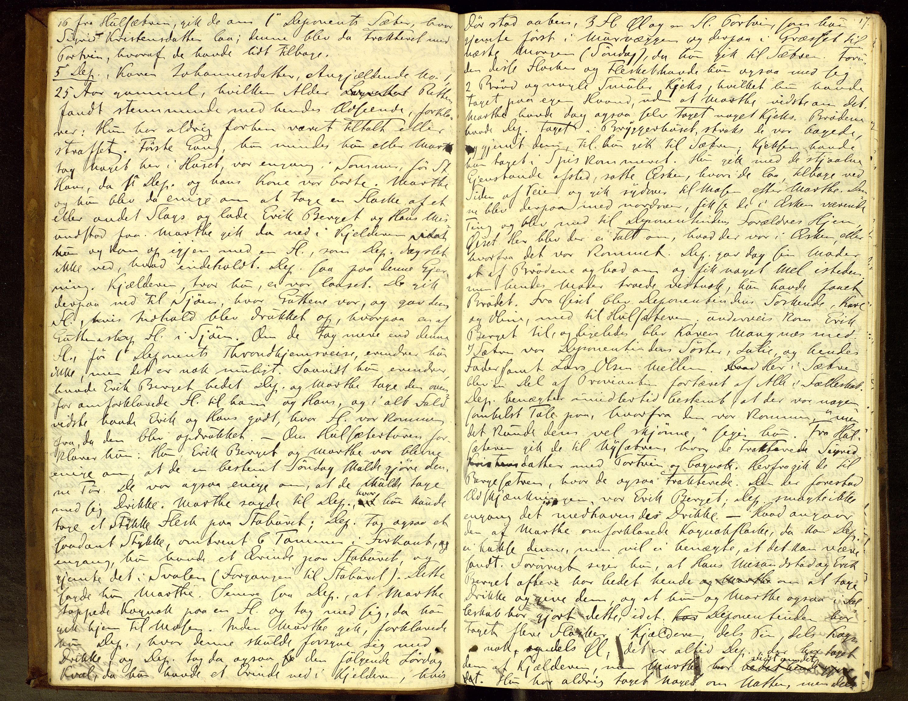 Vinger og Odal sorenskriveri, AV/SAH-TING-022/G/Gc/Gca/L0009: Ekstrarettsprotokoll - Odal, 1873-1878, s. 16-17