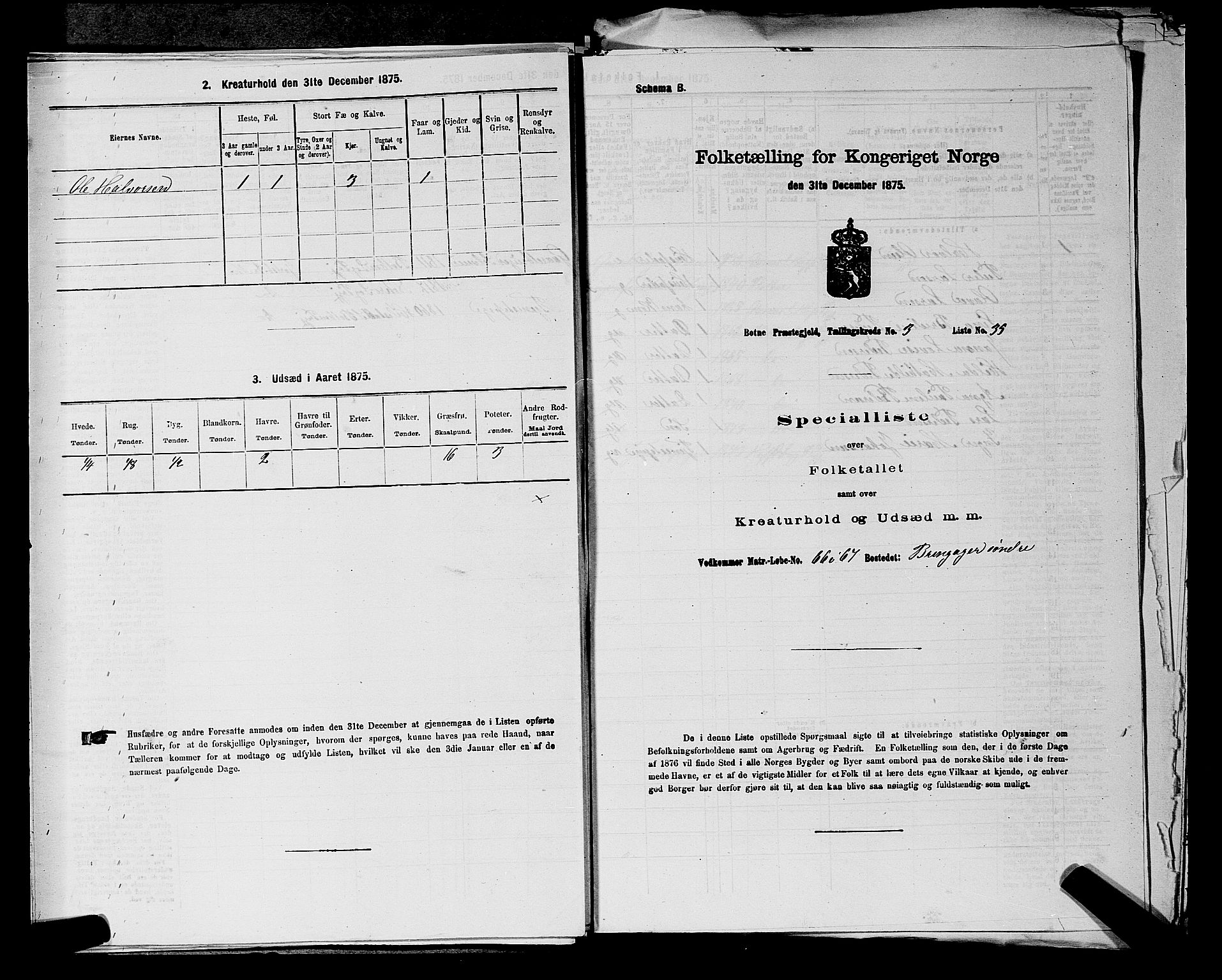 SAKO, Folketelling 1875 for 0715P Botne prestegjeld, 1875, s. 304