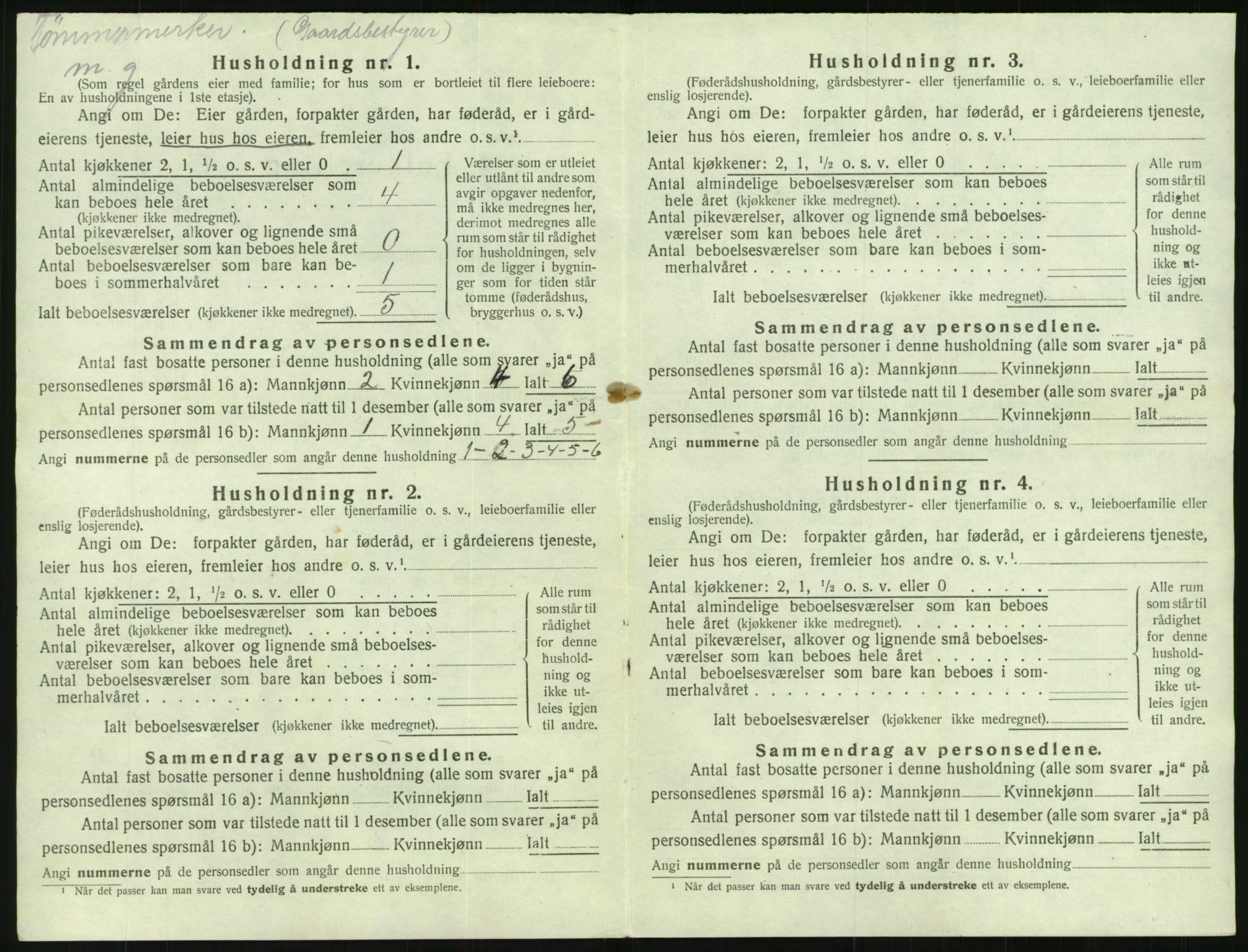 SAK, Folketelling 1920 for 0932 Mykland herred, 1920, s. 249