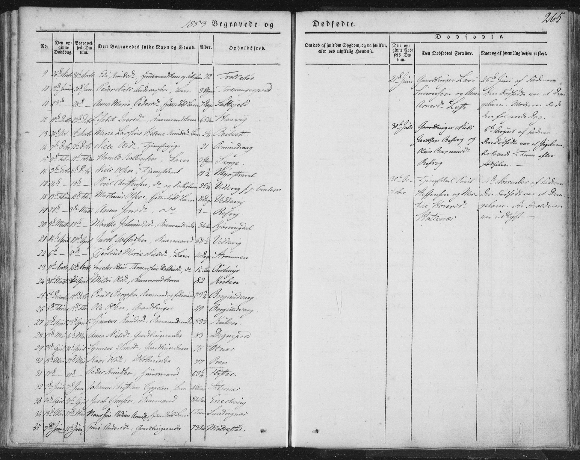 Selje sokneprestembete, AV/SAB-A-99938/H/Ha/Haa/Haaa: Ministerialbok nr. A 10, 1844-1858, s. 265