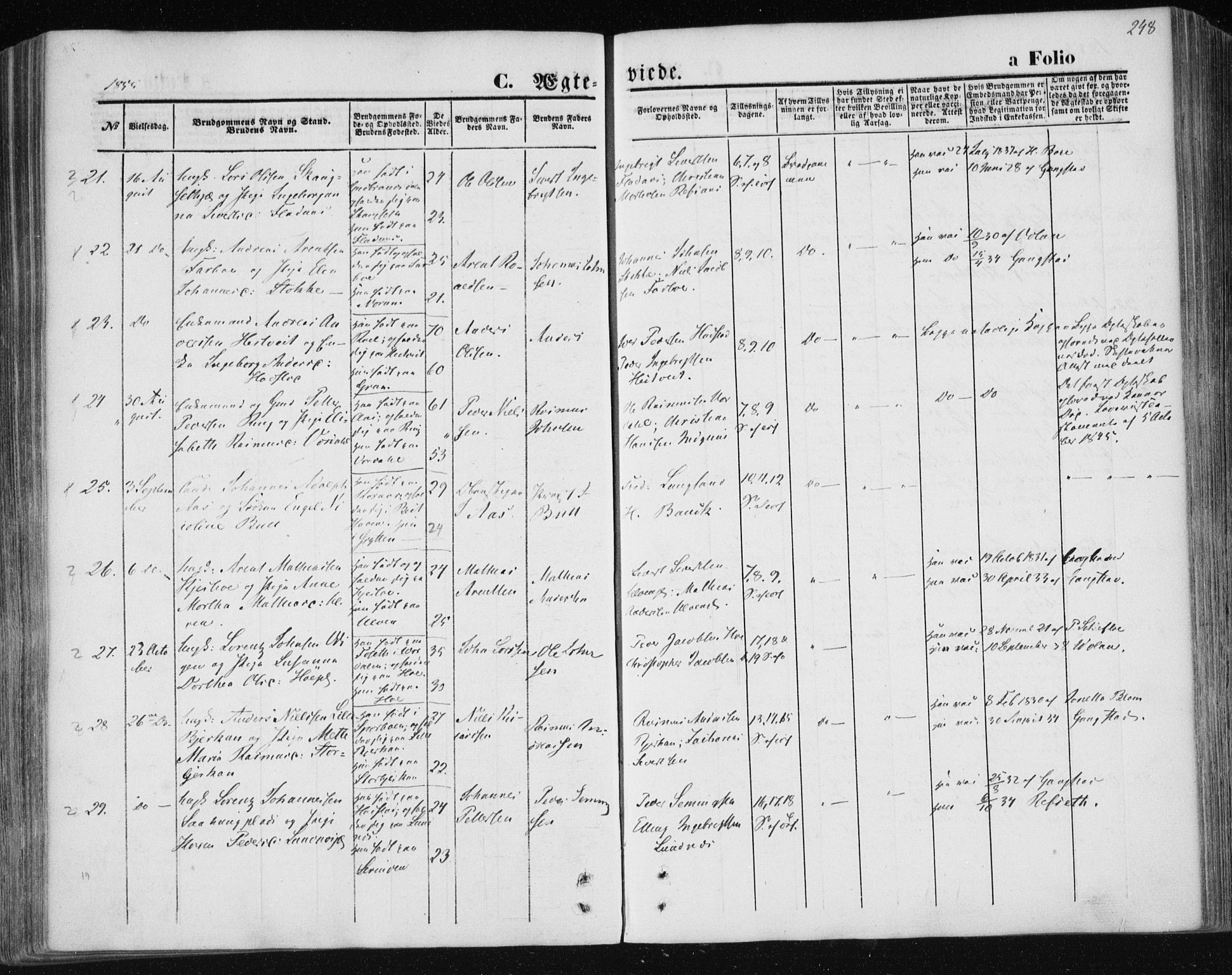 Ministerialprotokoller, klokkerbøker og fødselsregistre - Nord-Trøndelag, AV/SAT-A-1458/730/L0283: Ministerialbok nr. 730A08, 1855-1865, s. 248