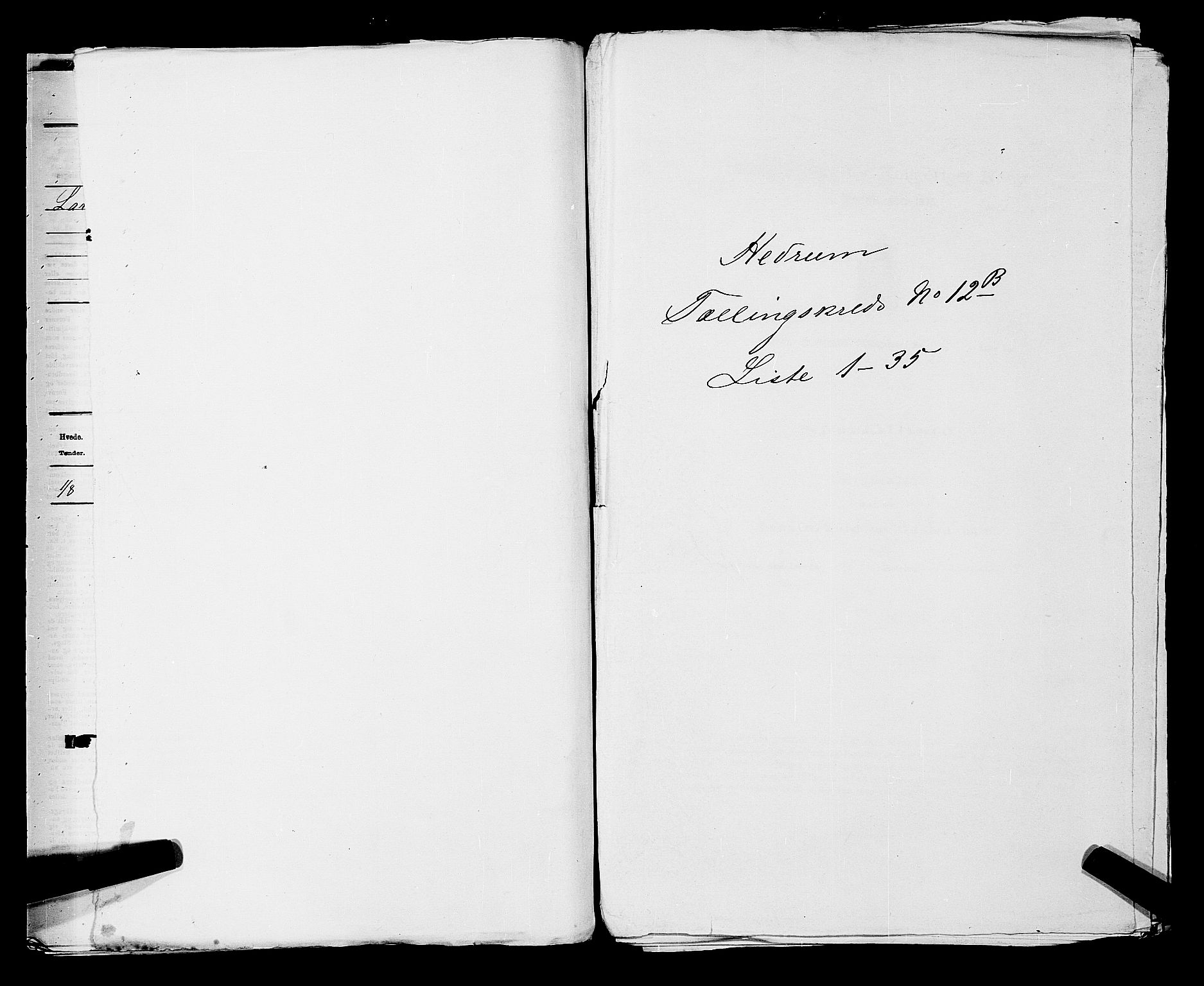 SAKO, Folketelling 1875 for 0727P Hedrum prestegjeld, 1875, s. 1176
