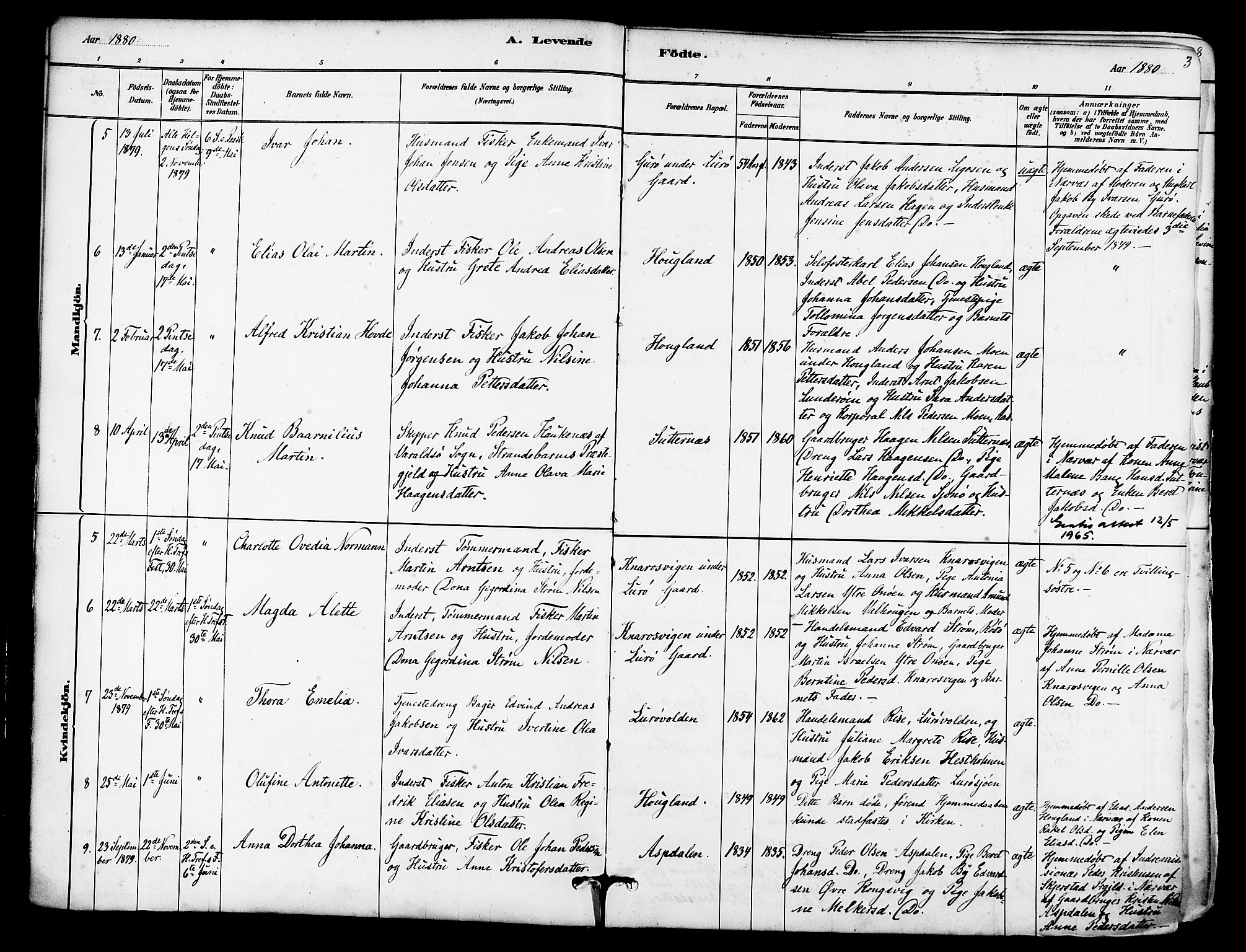 Ministerialprotokoller, klokkerbøker og fødselsregistre - Nordland, AV/SAT-A-1459/839/L0568: Ministerialbok nr. 839A05, 1880-1902, s. 3