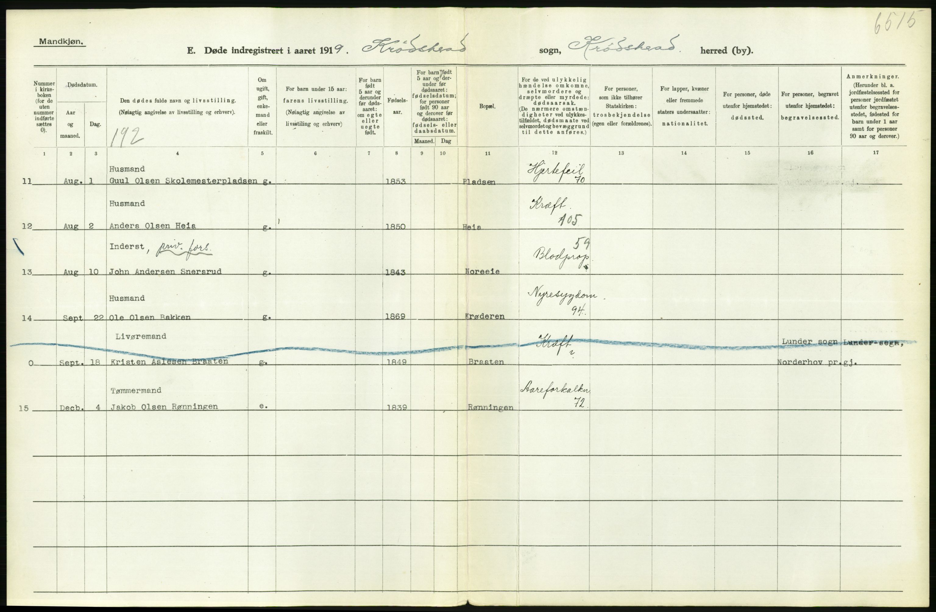 Statistisk sentralbyrå, Sosiodemografiske emner, Befolkning, AV/RA-S-2228/D/Df/Dfb/Dfbi/L0018: Buskerud fylke: Døde. Bygder og byer., 1919, s. 236