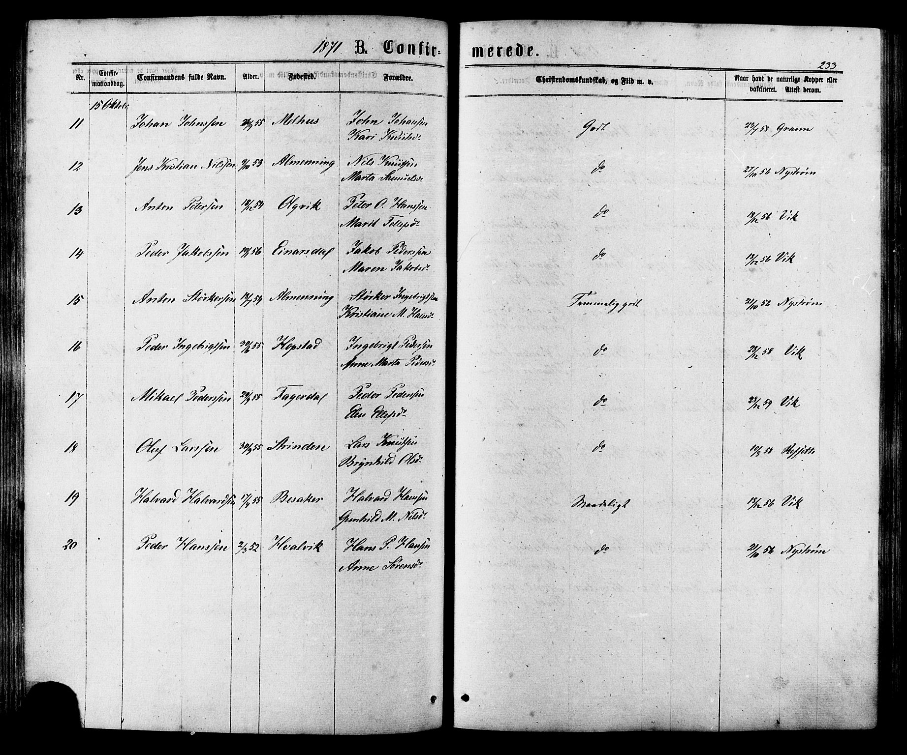 Ministerialprotokoller, klokkerbøker og fødselsregistre - Sør-Trøndelag, AV/SAT-A-1456/657/L0706: Ministerialbok nr. 657A07, 1867-1878, s. 233