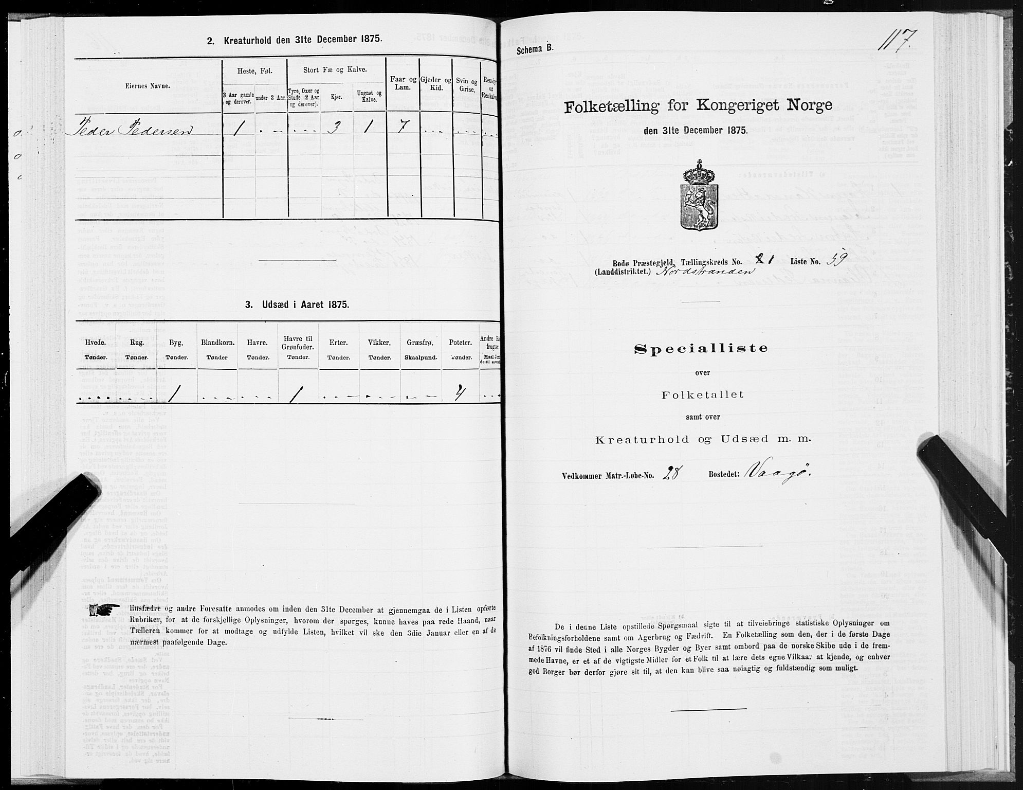 SAT, Folketelling 1875 for 1843L Bodø prestegjeld, Bodø landsokn, 1875, s. 1117