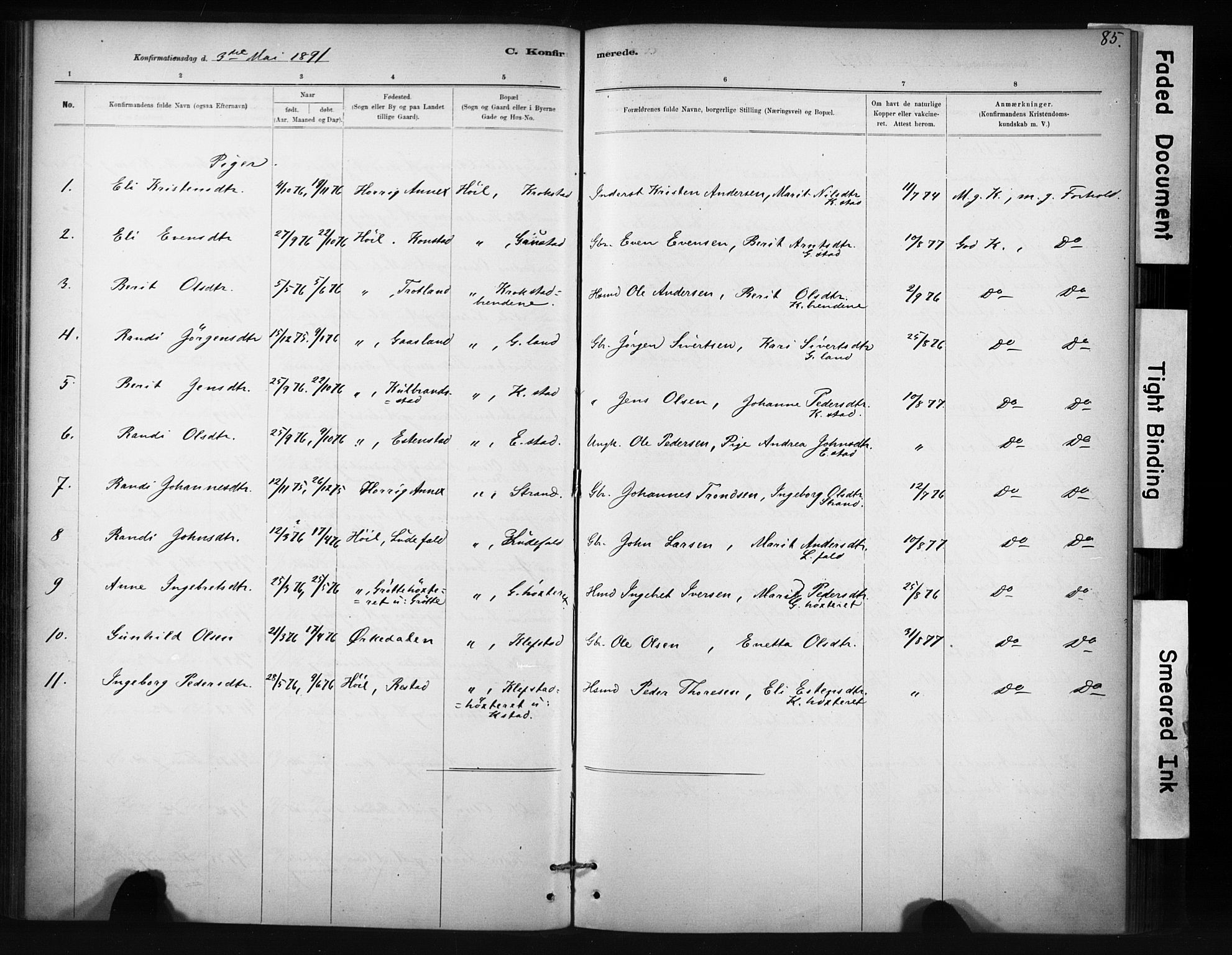Ministerialprotokoller, klokkerbøker og fødselsregistre - Sør-Trøndelag, AV/SAT-A-1456/694/L1127: Ministerialbok nr. 694A01, 1887-1905, s. 85