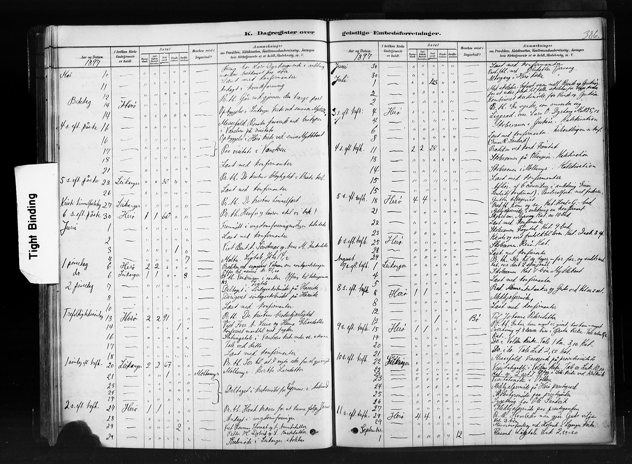 Ministerialprotokoller, klokkerbøker og fødselsregistre - Møre og Romsdal, AV/SAT-A-1454/507/L0073: Ministerialbok nr. 507A08, 1878-1904, s. 386