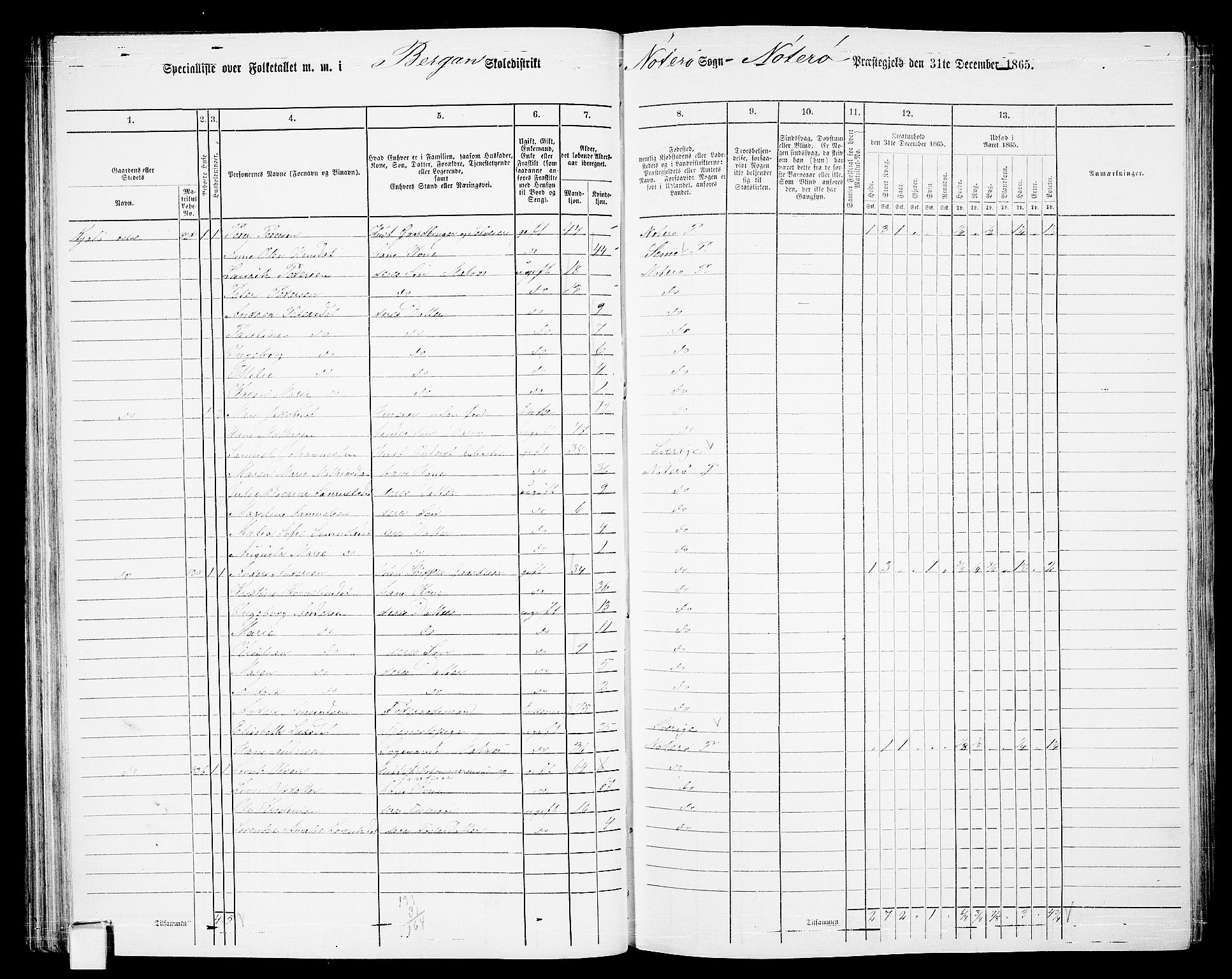 RA, Folketelling 1865 for 0722P Nøtterøy prestegjeld, 1865, s. 74