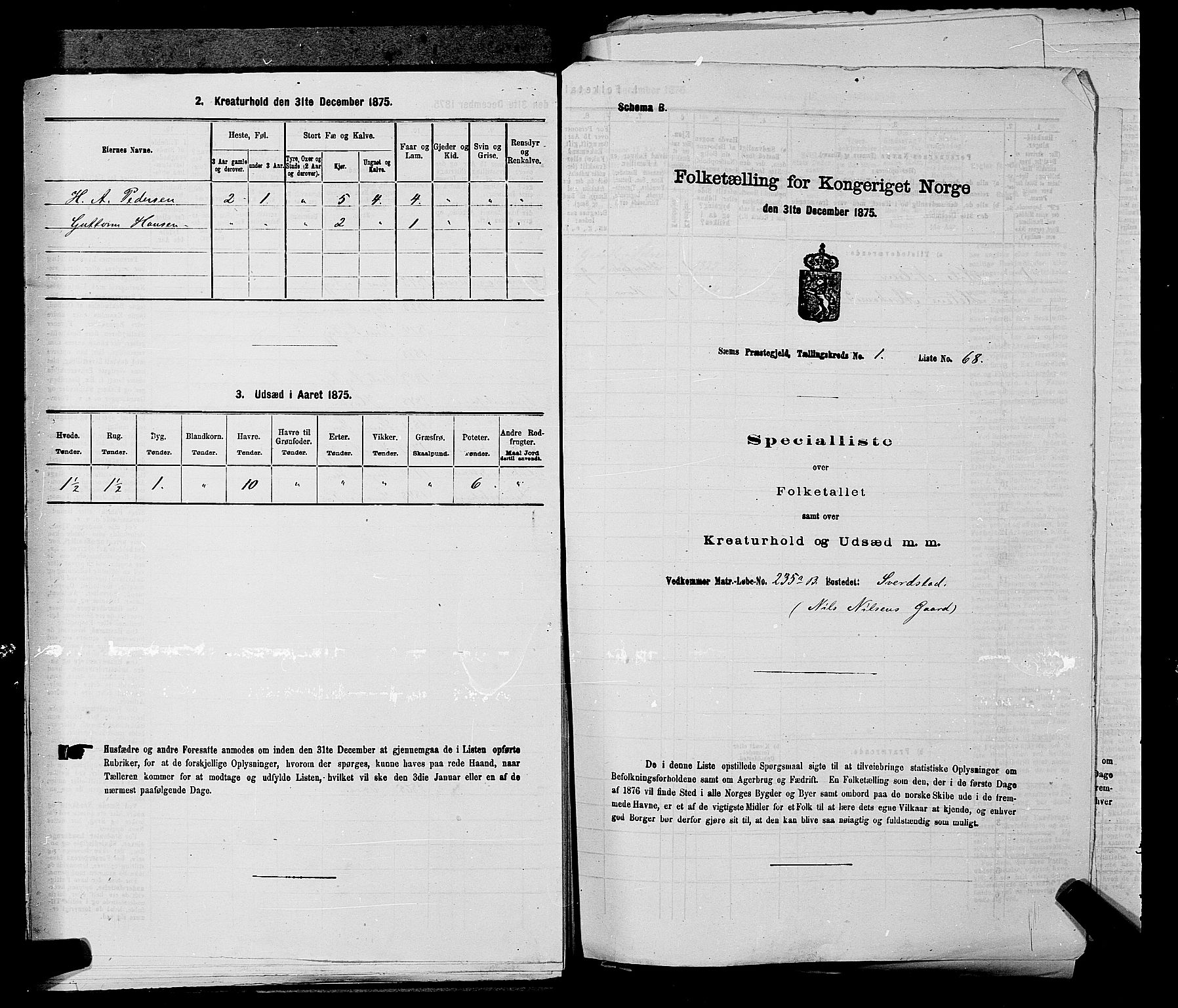 SAKO, Folketelling 1875 for 0721P Sem prestegjeld, 1875, s. 215