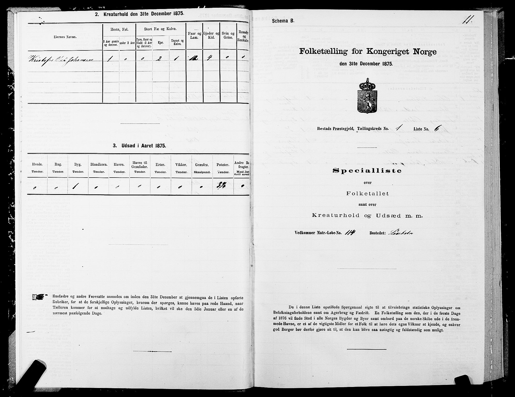 SATØ, Folketelling 1875 for 1917P Ibestad prestegjeld, 1875, s. 1011