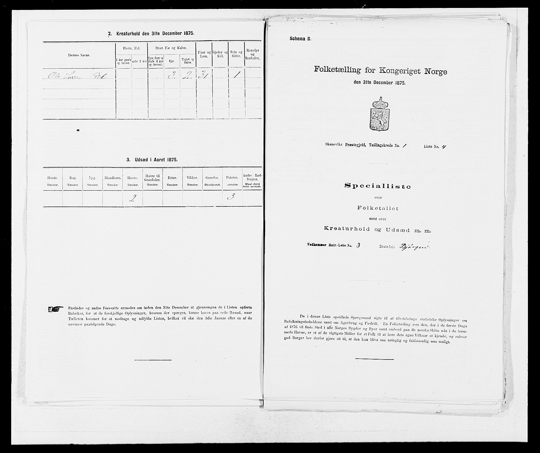 SAB, Folketelling 1875 for 1212P Skånevik prestegjeld, 1875, s. 31