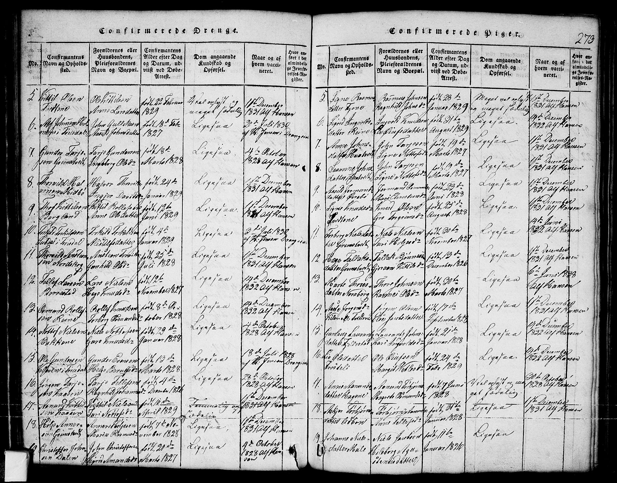 Nissedal kirkebøker, SAKO/A-288/G/Ga/L0001: Klokkerbok nr. I 1, 1814-1860, s. 273