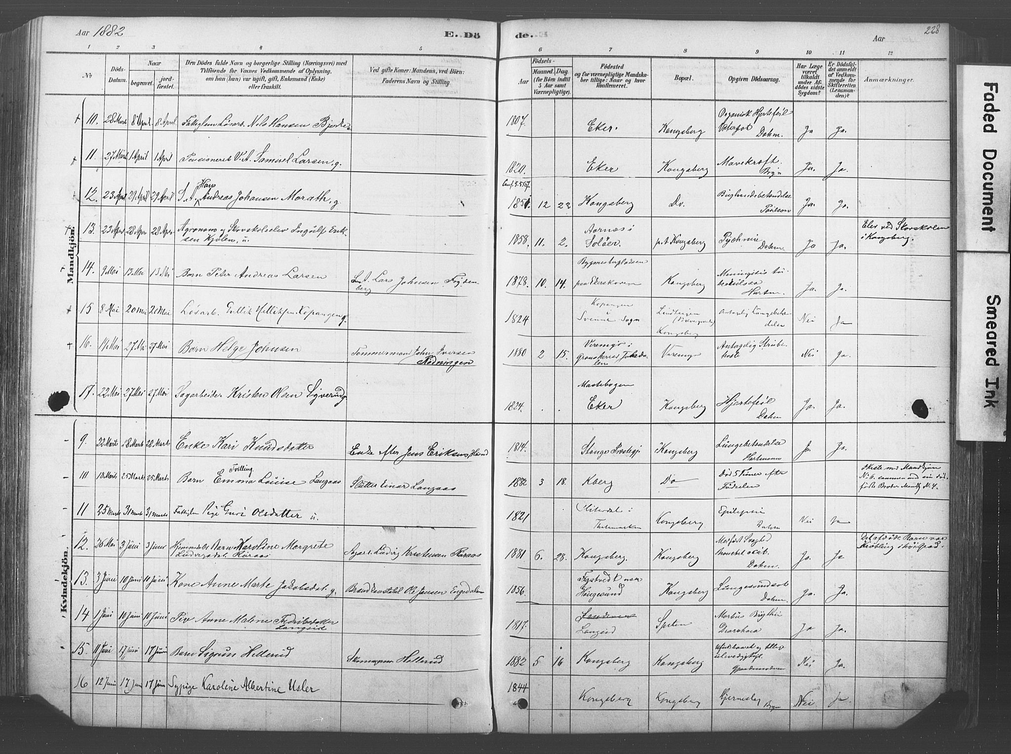 Kongsberg kirkebøker, AV/SAKO-A-22/F/Fb/L0001: Ministerialbok nr. II 1, 1878-1886, s. 228