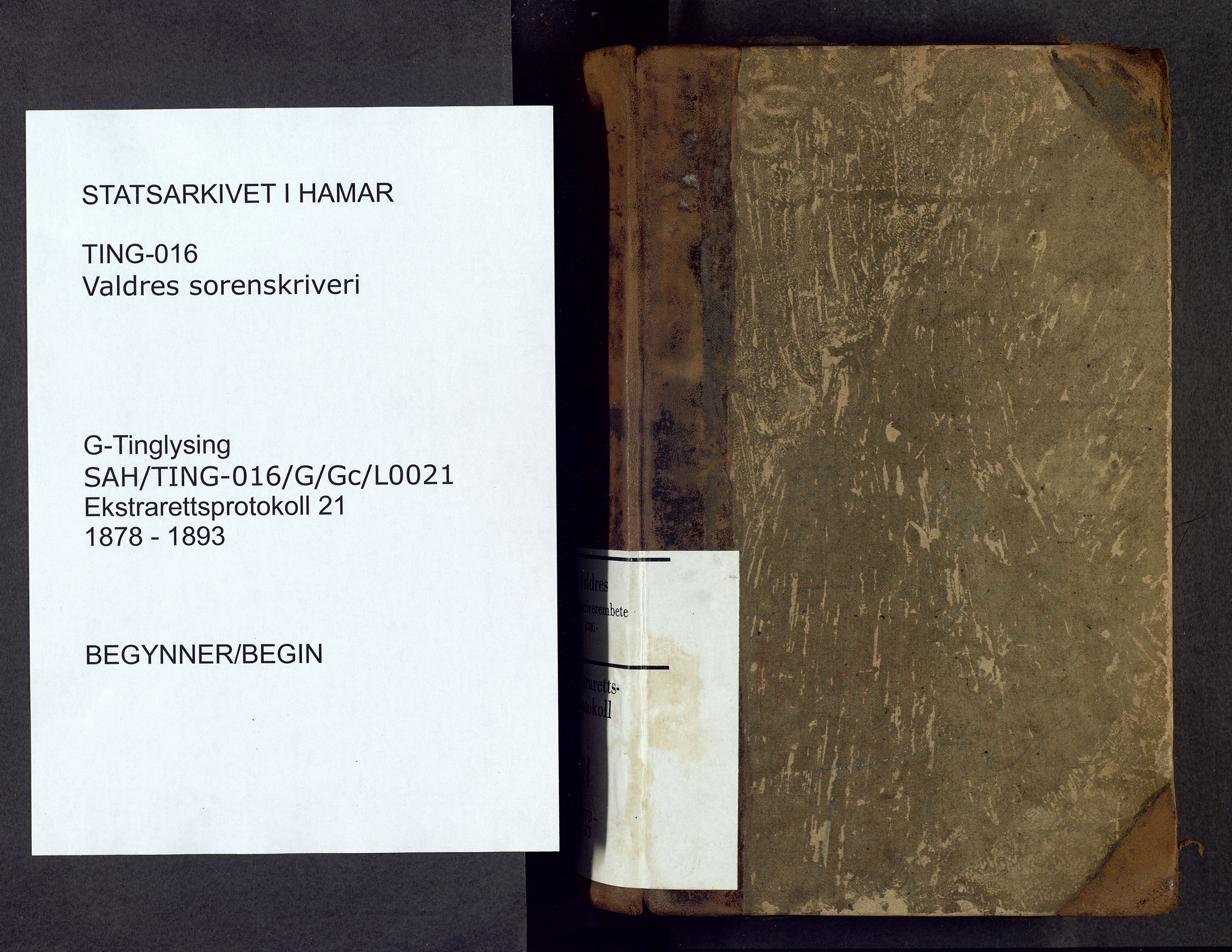 Valdres sorenskriveri, AV/SAH-TING-016/G/Gc/L0021: Ekstrarettsprotokoll, 1878-1893