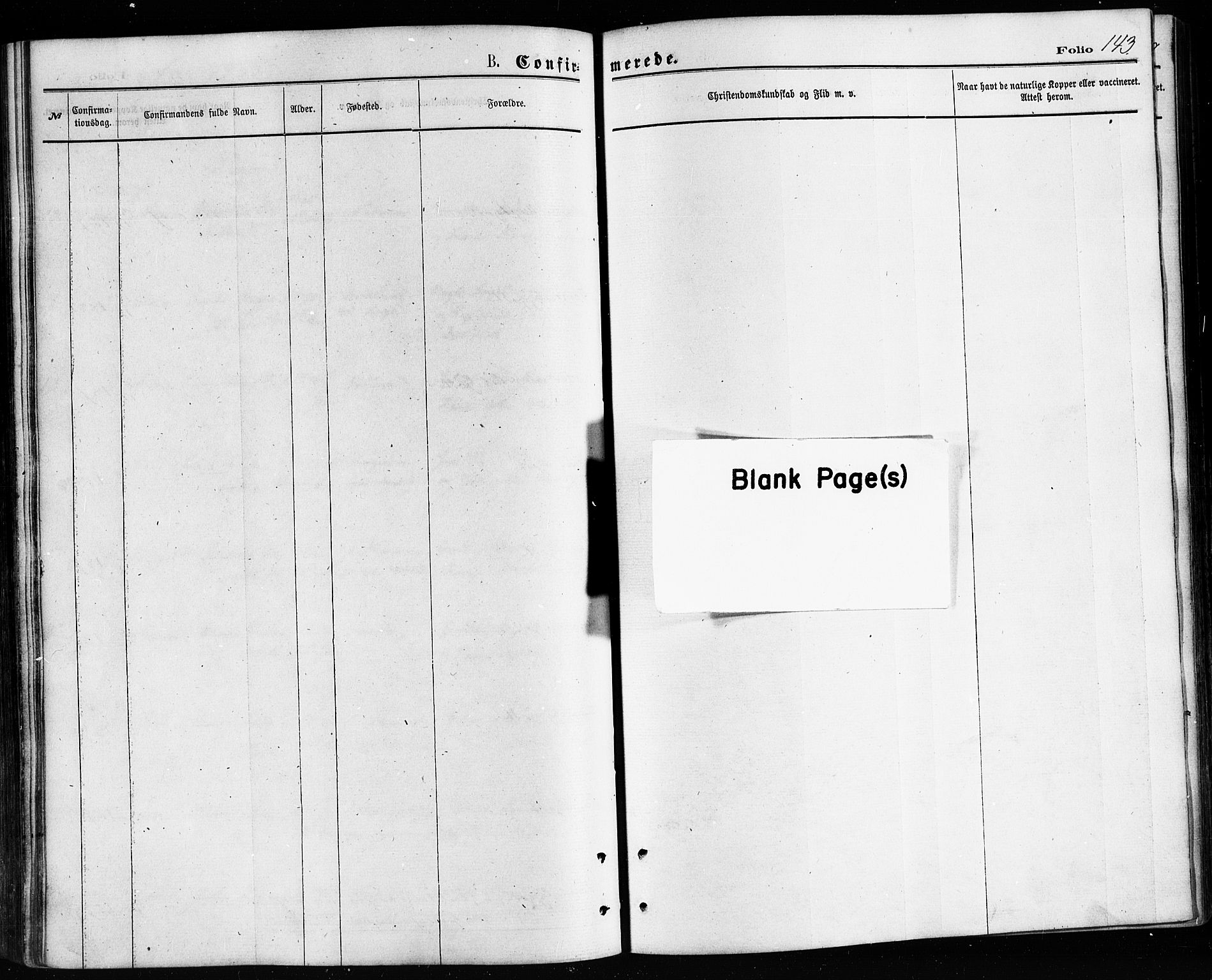 Ministerialprotokoller, klokkerbøker og fødselsregistre - Nordland, AV/SAT-A-1459/814/L0225: Ministerialbok nr. 814A06, 1875-1885, s. 143