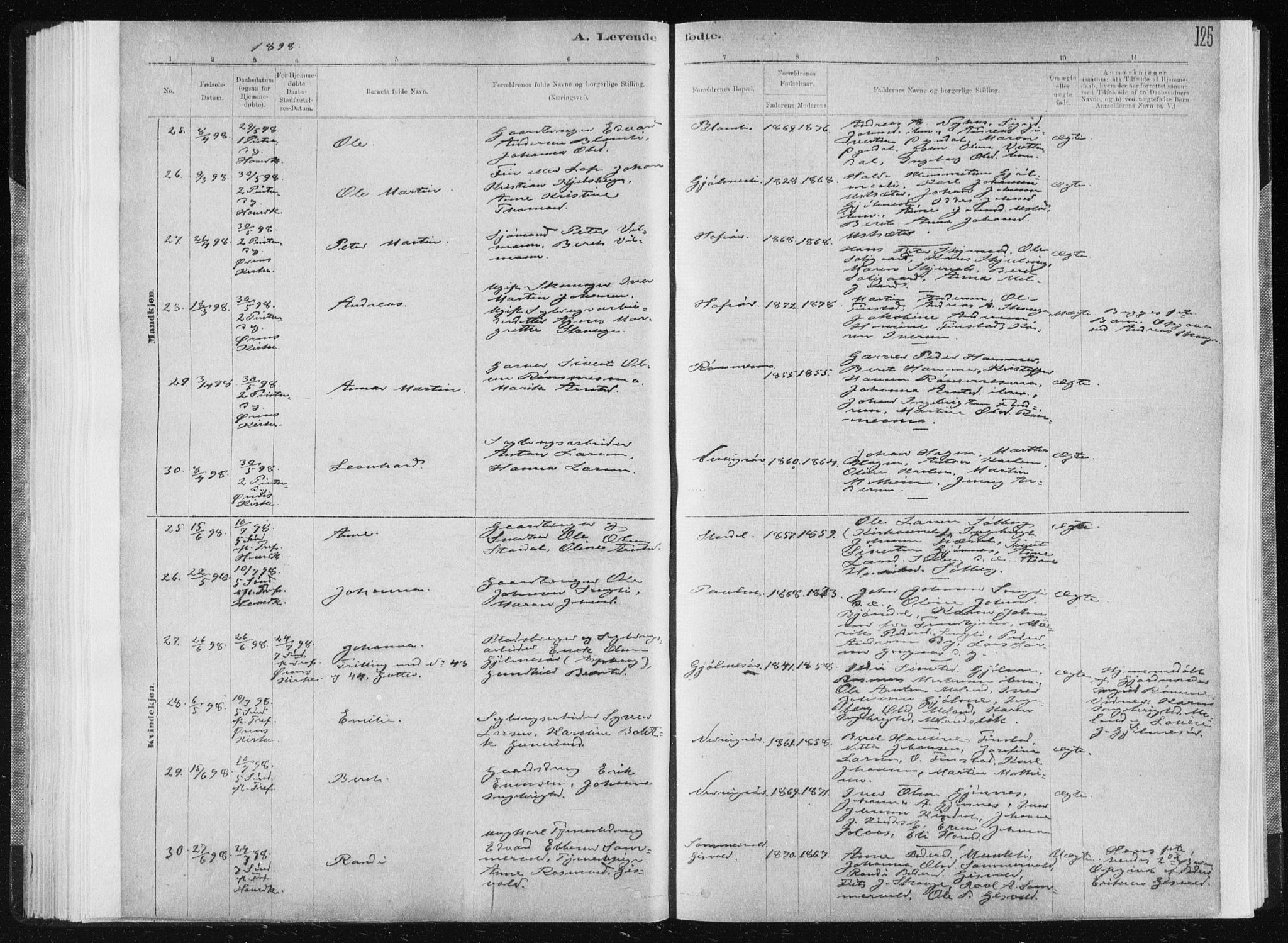 Ministerialprotokoller, klokkerbøker og fødselsregistre - Sør-Trøndelag, AV/SAT-A-1456/668/L0818: Klokkerbok nr. 668C07, 1885-1898, s. 125