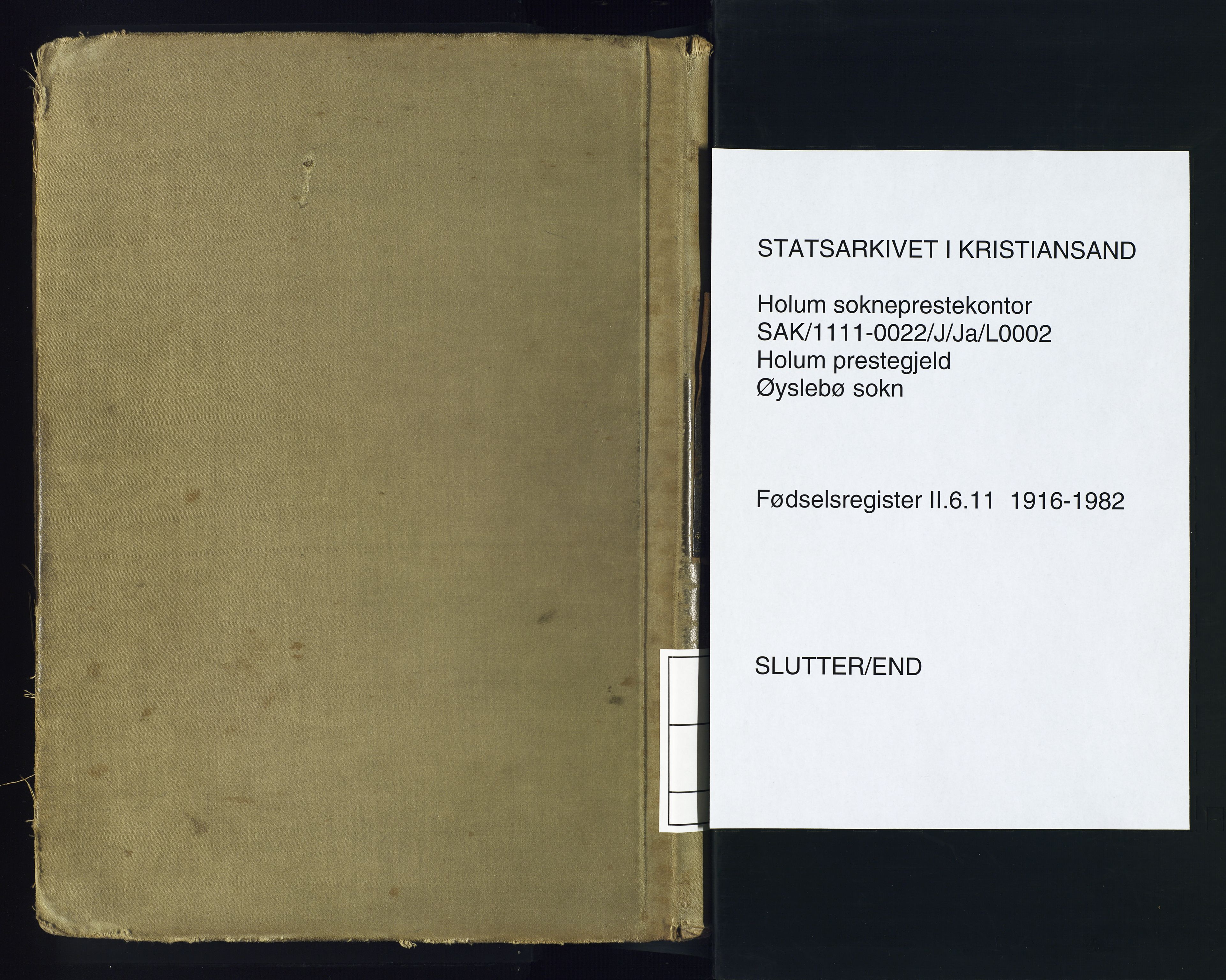 Holum sokneprestkontor, SAK/1111-0022/J/Ja/L0002: Fødselsregister nr. II.6.11, 1916-1982