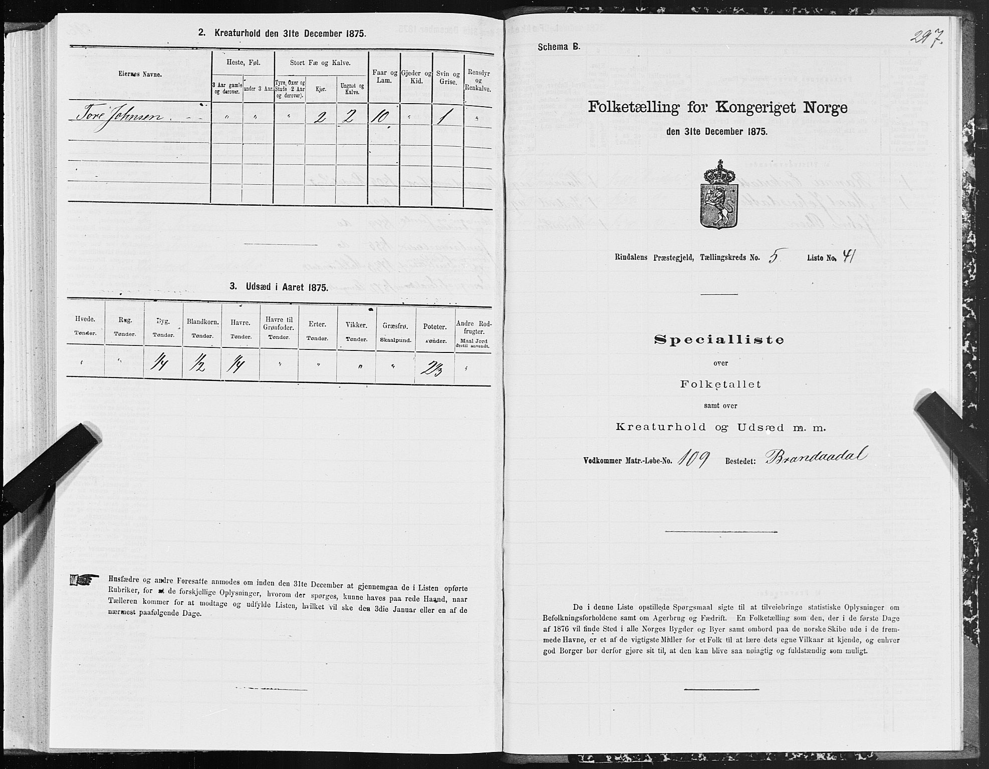 SAT, Folketelling 1875 for 1567P Rindal prestegjeld, 1875, s. 2297
