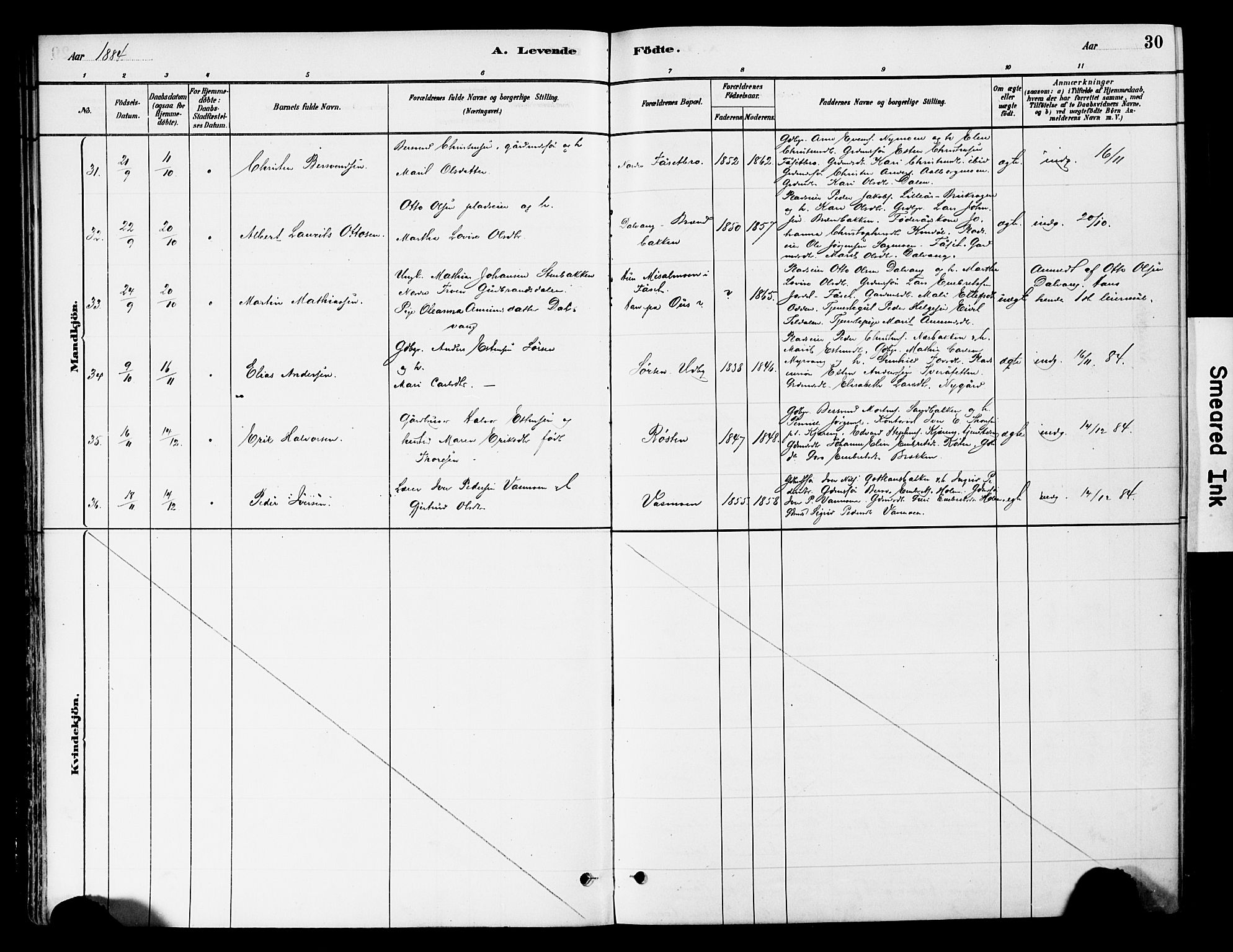 Tynset prestekontor, SAH/PREST-058/H/Ha/Haa/L0022: Ministerialbok nr. 22, 1880-1899, s. 30