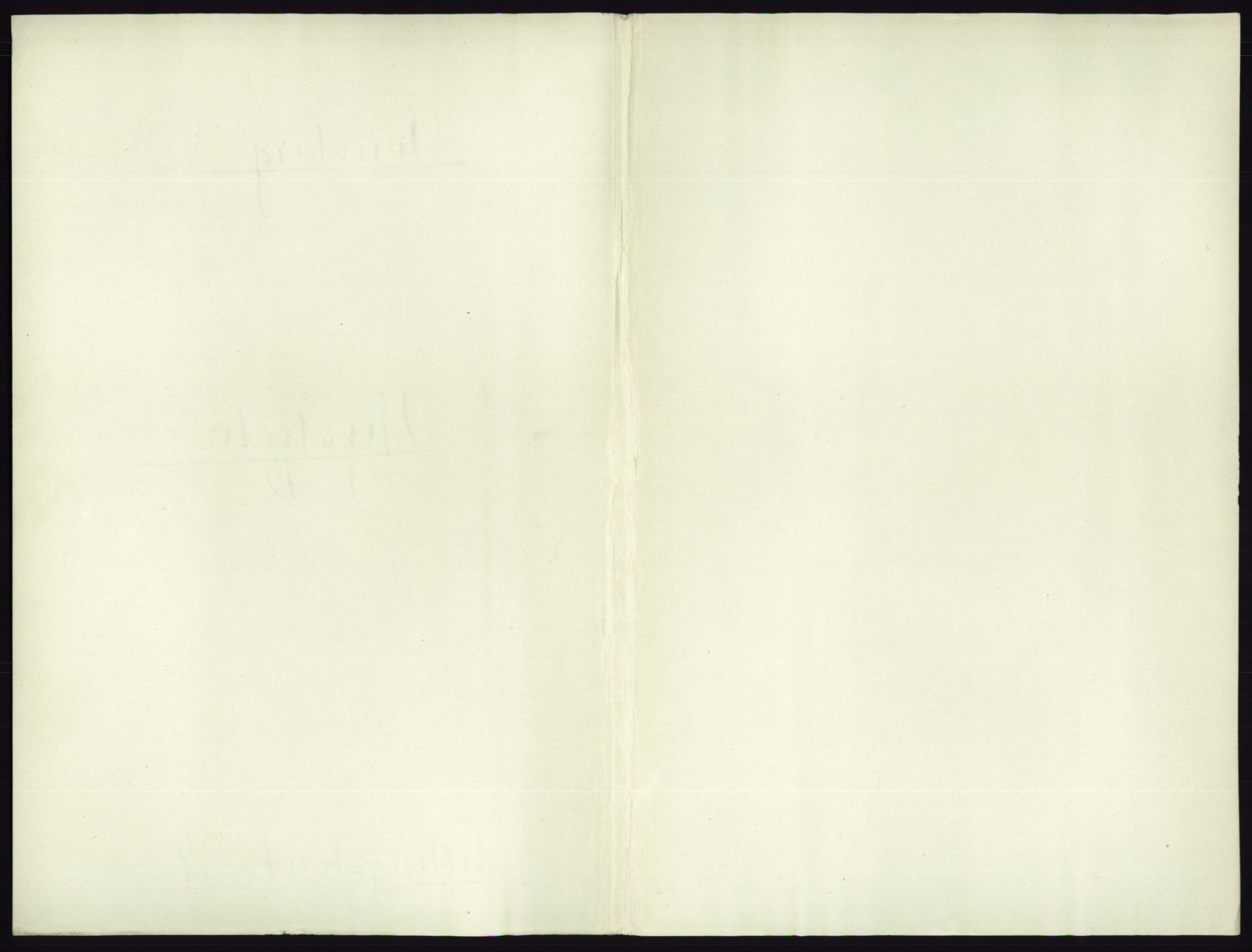 RA, Folketelling 1891 for 0705 Tønsberg kjøpstad, 1891, s. 769