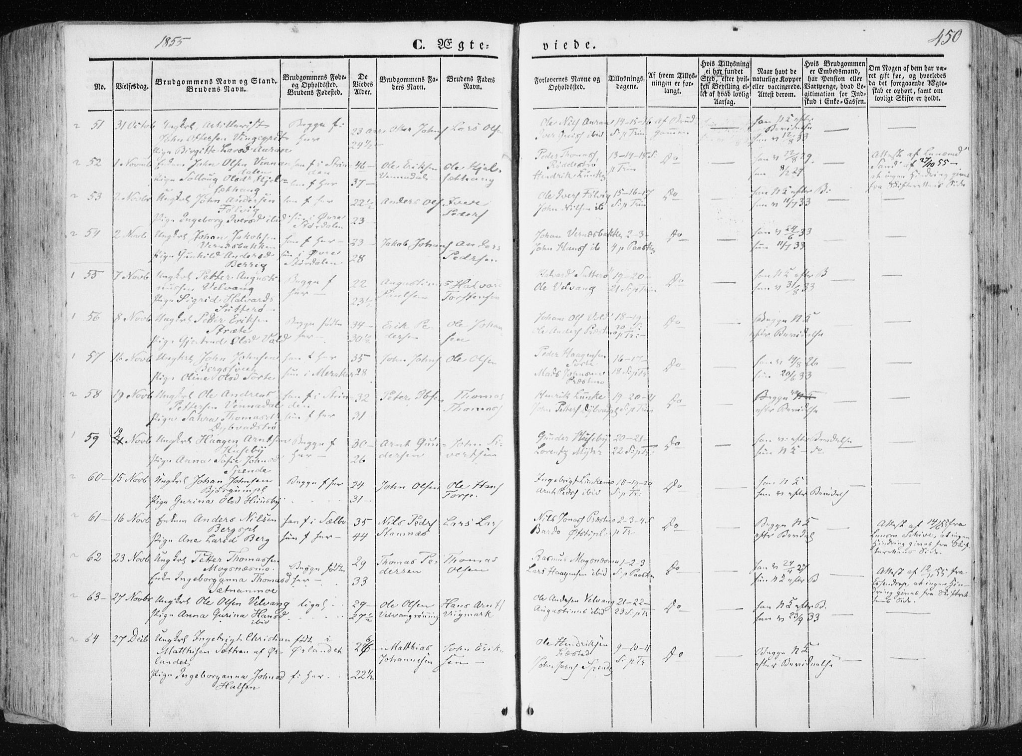 Ministerialprotokoller, klokkerbøker og fødselsregistre - Nord-Trøndelag, AV/SAT-A-1458/709/L0074: Ministerialbok nr. 709A14, 1845-1858, s. 450