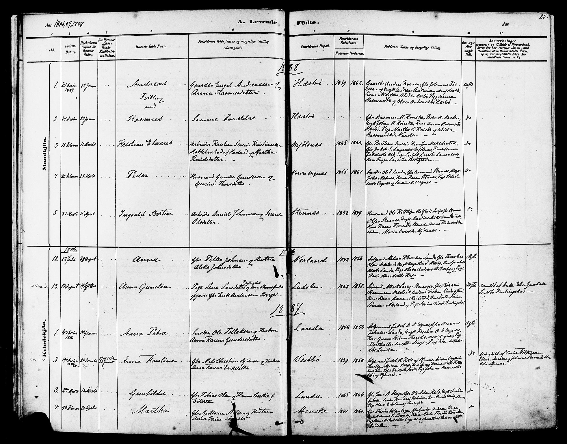 Finnøy sokneprestkontor, AV/SAST-A-101825/H/Ha/Haa/L0010: Ministerialbok nr. A 10, 1879-1890, s. 25