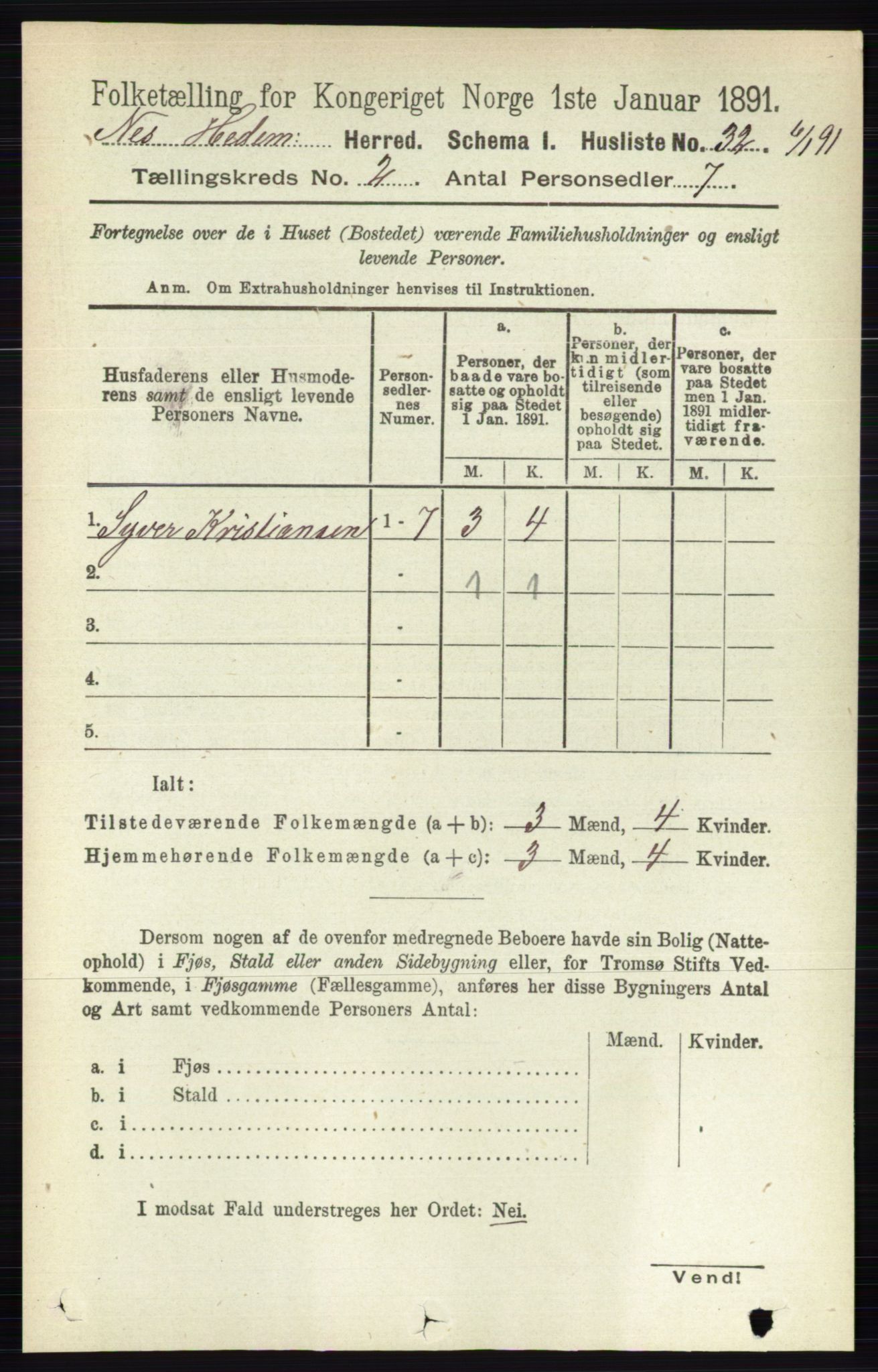 RA, Folketelling 1891 for 0411 Nes herred, 1891, s. 1036