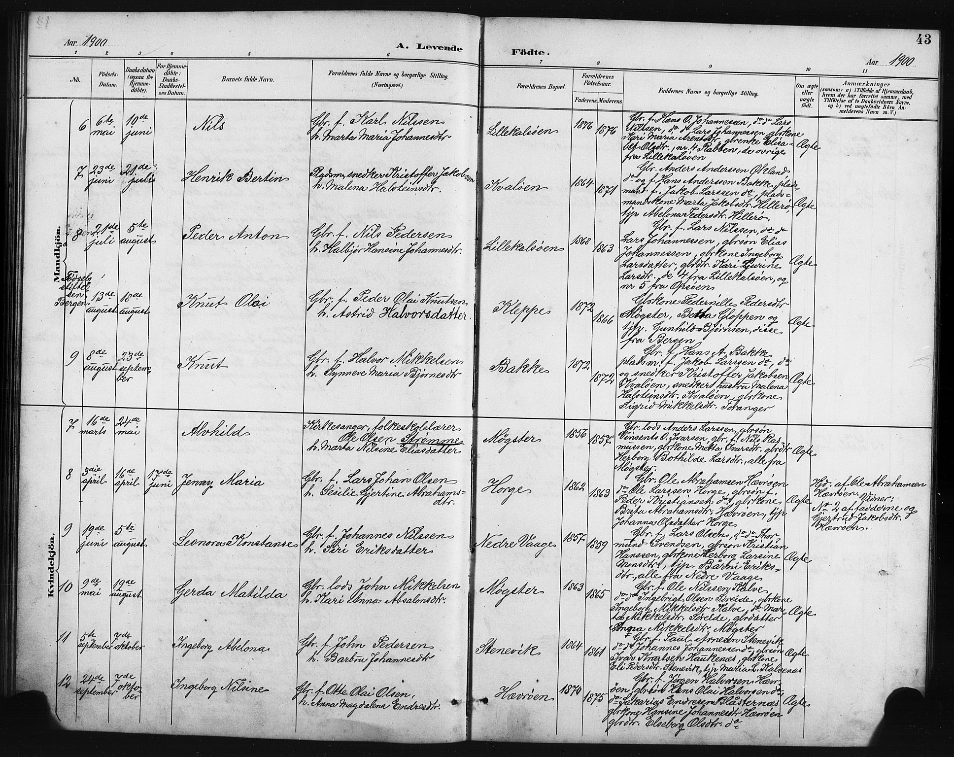 Austevoll sokneprestembete, AV/SAB-A-74201/H/Ha/Hab/Habb/L0004: Klokkerbok nr. B 4, 1889-1901, s. 43
