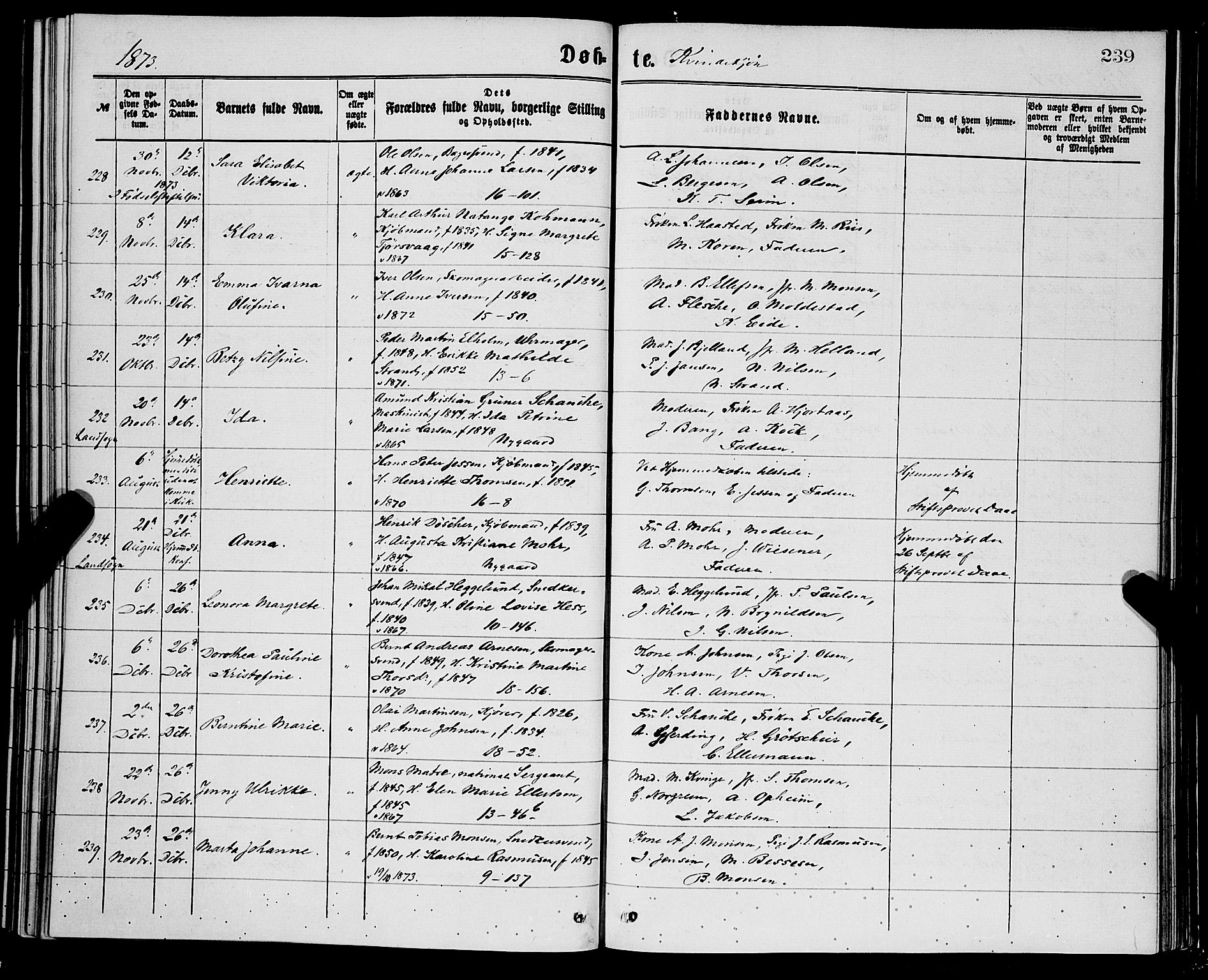 Domkirken sokneprestembete, AV/SAB-A-74801/H/Hab/L0013: Klokkerbok nr. B 6, 1869-1876, s. 239