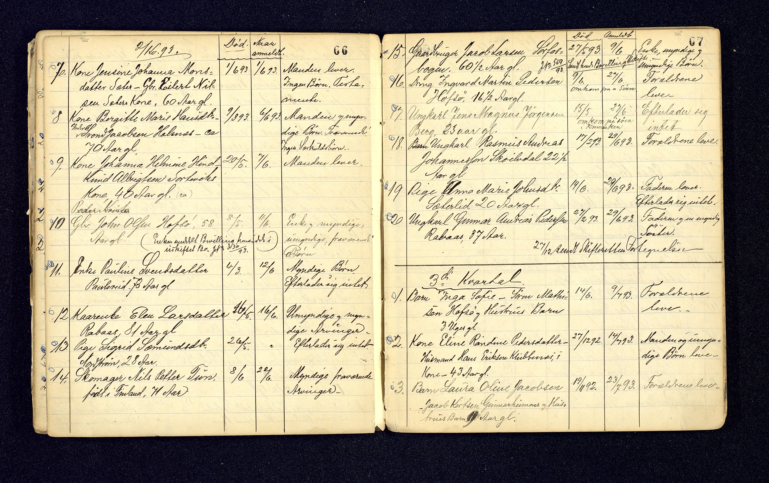 Tranøy lensmannskontor (Sørreisa lensmannskontor), AV/SATØ-SATØ-46/1/F/Fi/Fia/L0146/0001: Dødsfallsprotokoller / Dødsfallsprotokoller, 1884-1896, s. 66-67