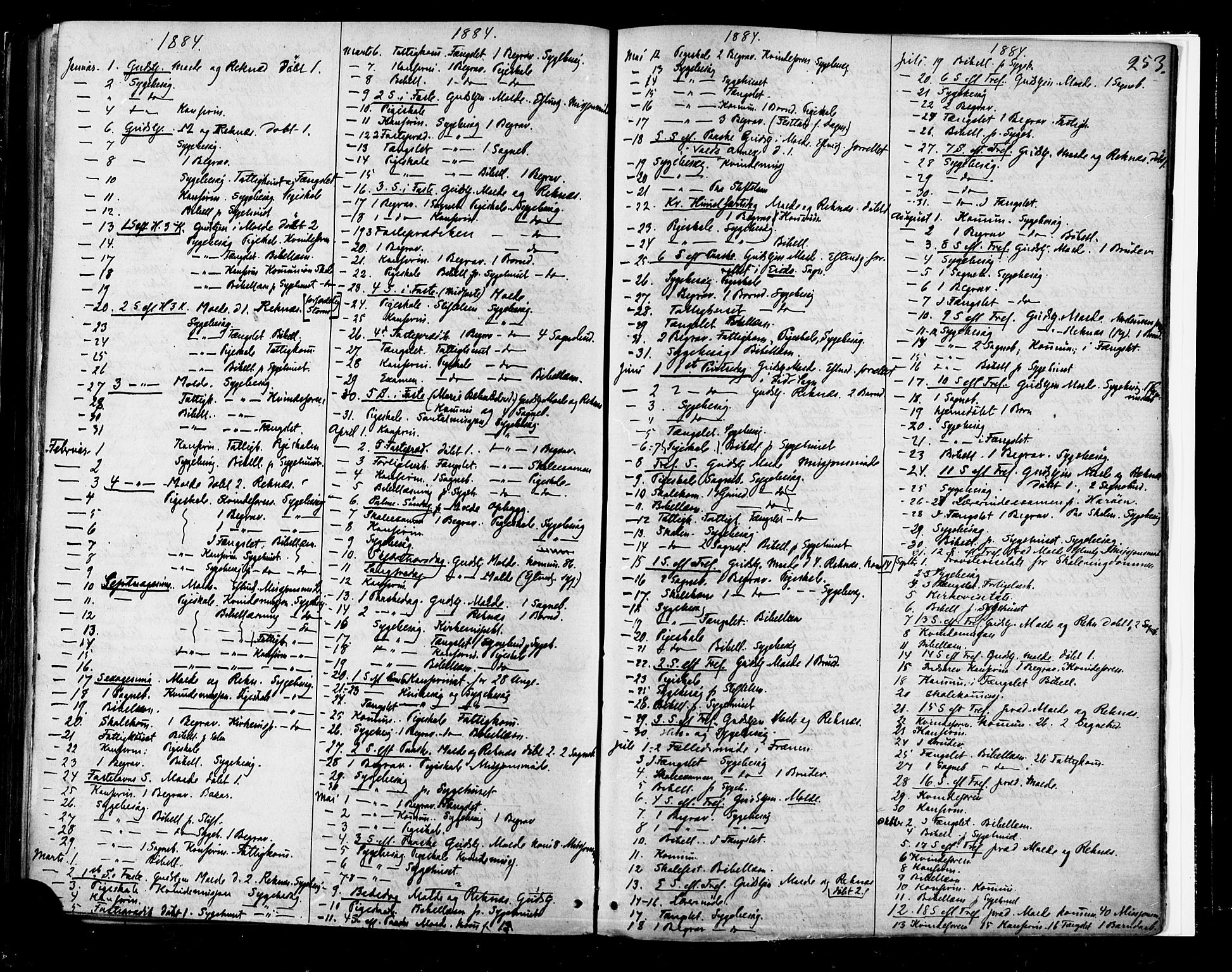 Ministerialprotokoller, klokkerbøker og fødselsregistre - Møre og Romsdal, AV/SAT-A-1454/558/L0691: Ministerialbok nr. 558A05, 1873-1886, s. 253