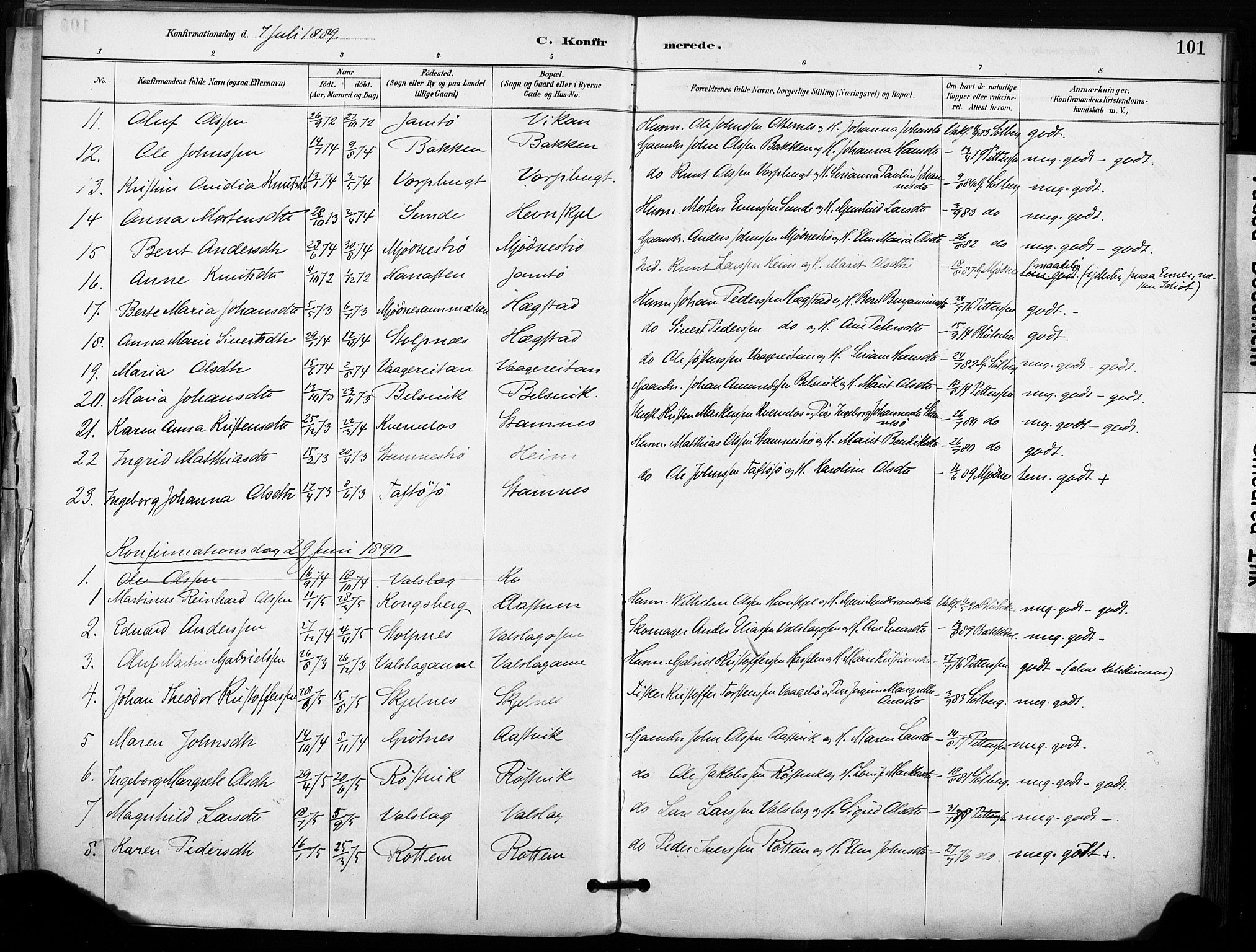 Ministerialprotokoller, klokkerbøker og fødselsregistre - Sør-Trøndelag, SAT/A-1456/633/L0518: Ministerialbok nr. 633A01, 1884-1906, s. 101