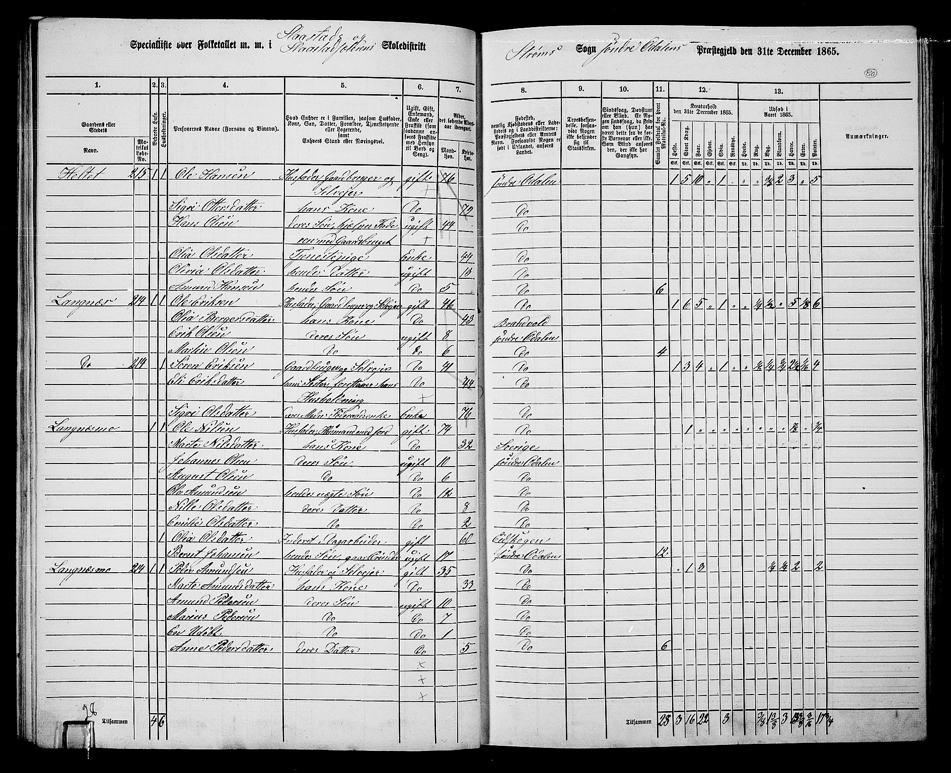 RA, Folketelling 1865 for 0419P Sør-Odal prestegjeld, 1865, s. 70