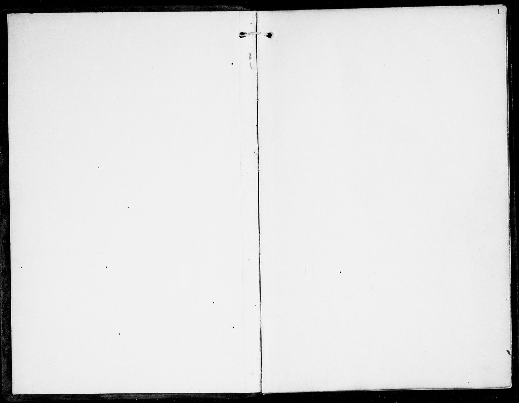 Haus sokneprestembete, SAB/A-75601/H/Haa: Ministerialbok nr. D 2, 1899-1912, s. 1
