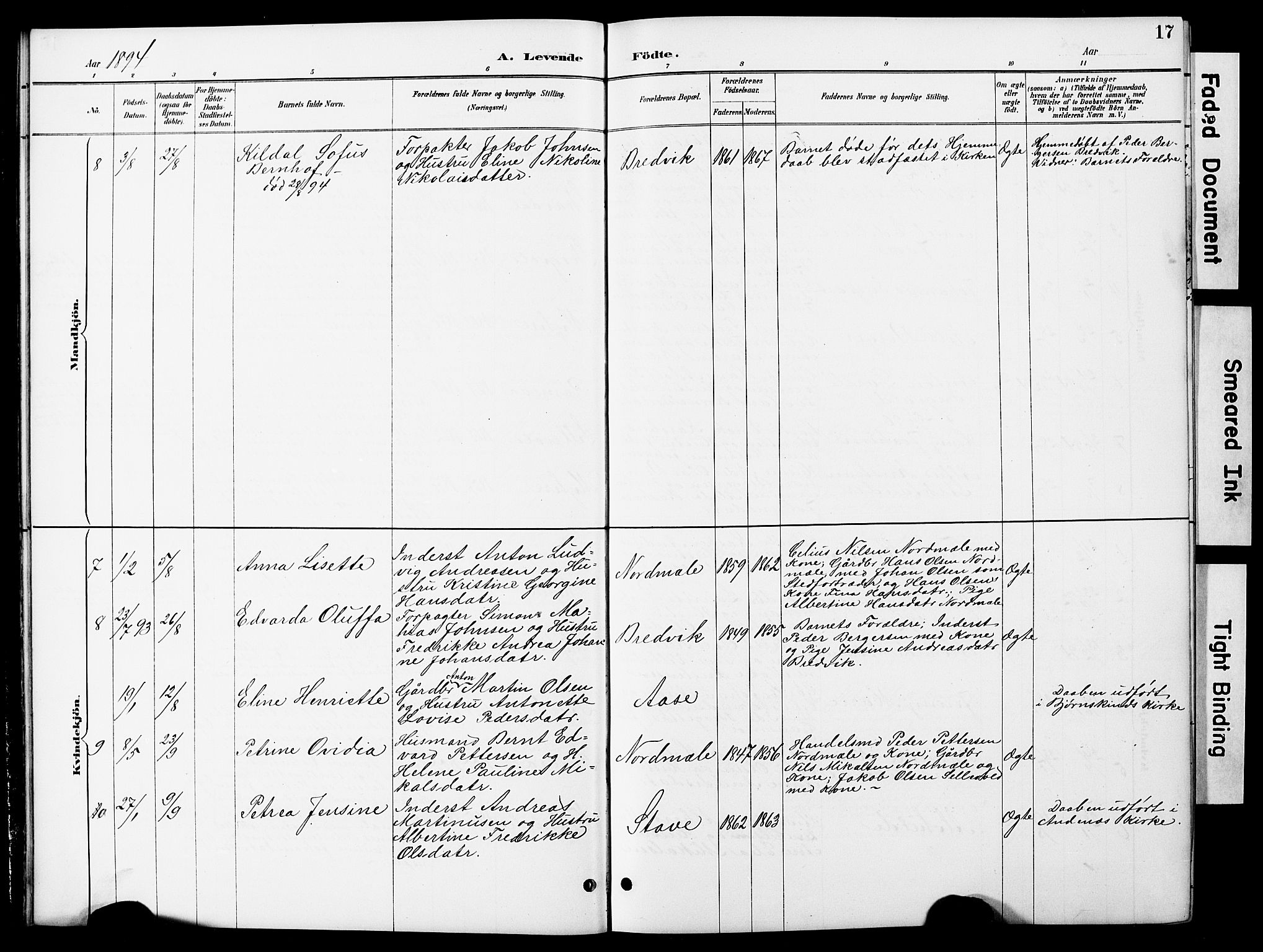 Ministerialprotokoller, klokkerbøker og fødselsregistre - Nordland, SAT/A-1459/897/L1413: Klokkerbok nr. 897C03, 1887-1903, s. 17