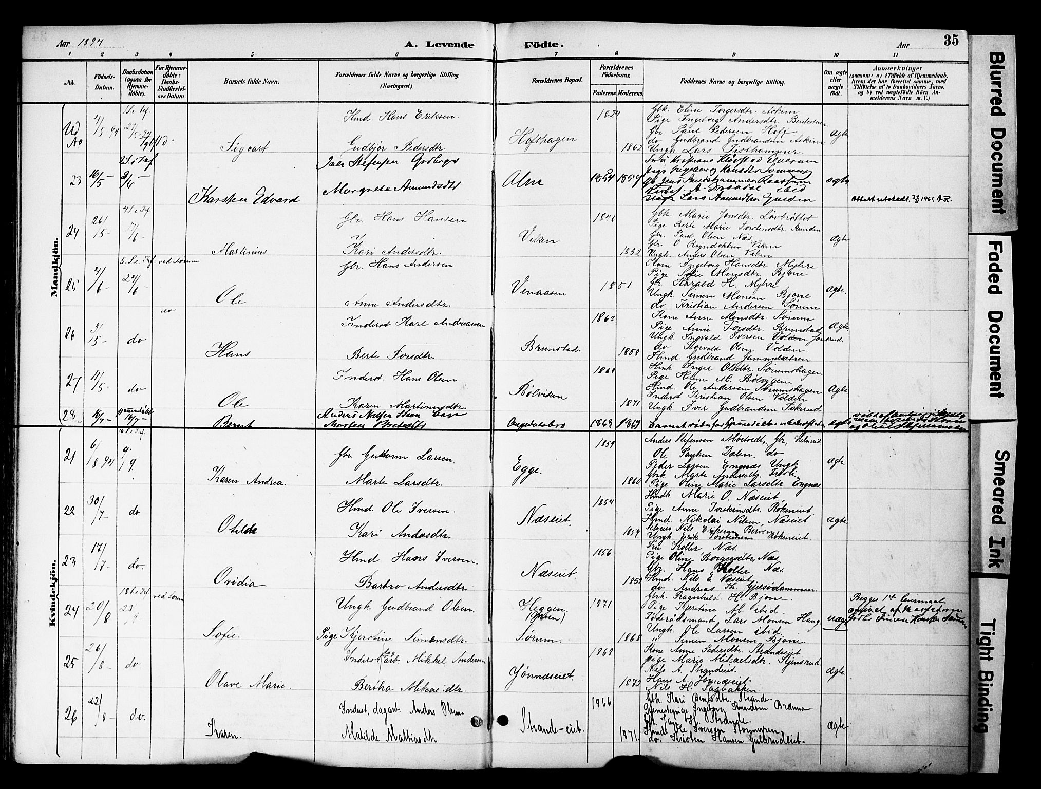 Gran prestekontor, AV/SAH-PREST-112/H/Ha/Haa/L0020: Ministerialbok nr. 20, 1889-1899, s. 35