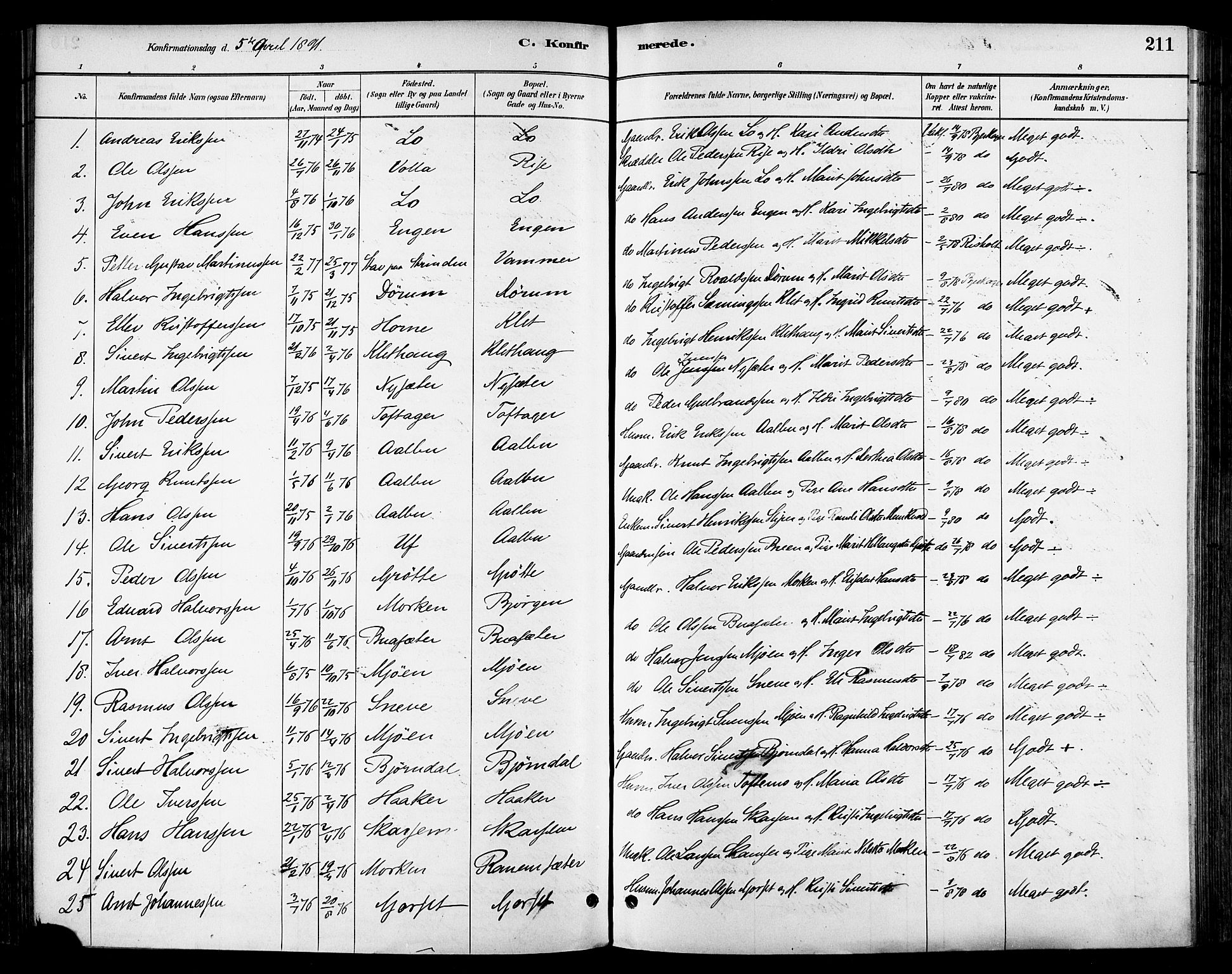 Ministerialprotokoller, klokkerbøker og fødselsregistre - Sør-Trøndelag, AV/SAT-A-1456/678/L0901: Ministerialbok nr. 678A10, 1881-1894, s. 211
