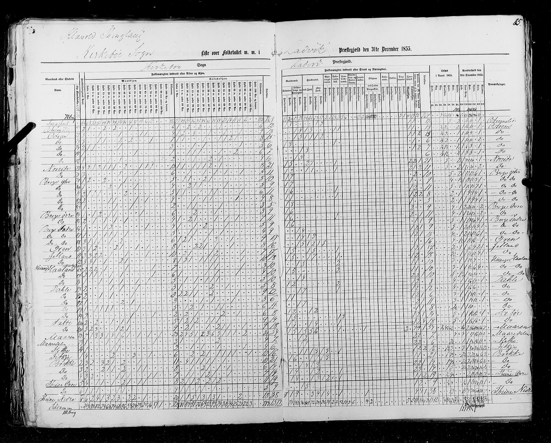 RA, Folketellingen 1855, bind 5: Nordre Bergenhus amt, Romsdal amt og Søndre Trondhjem amt, 1855, s. 85