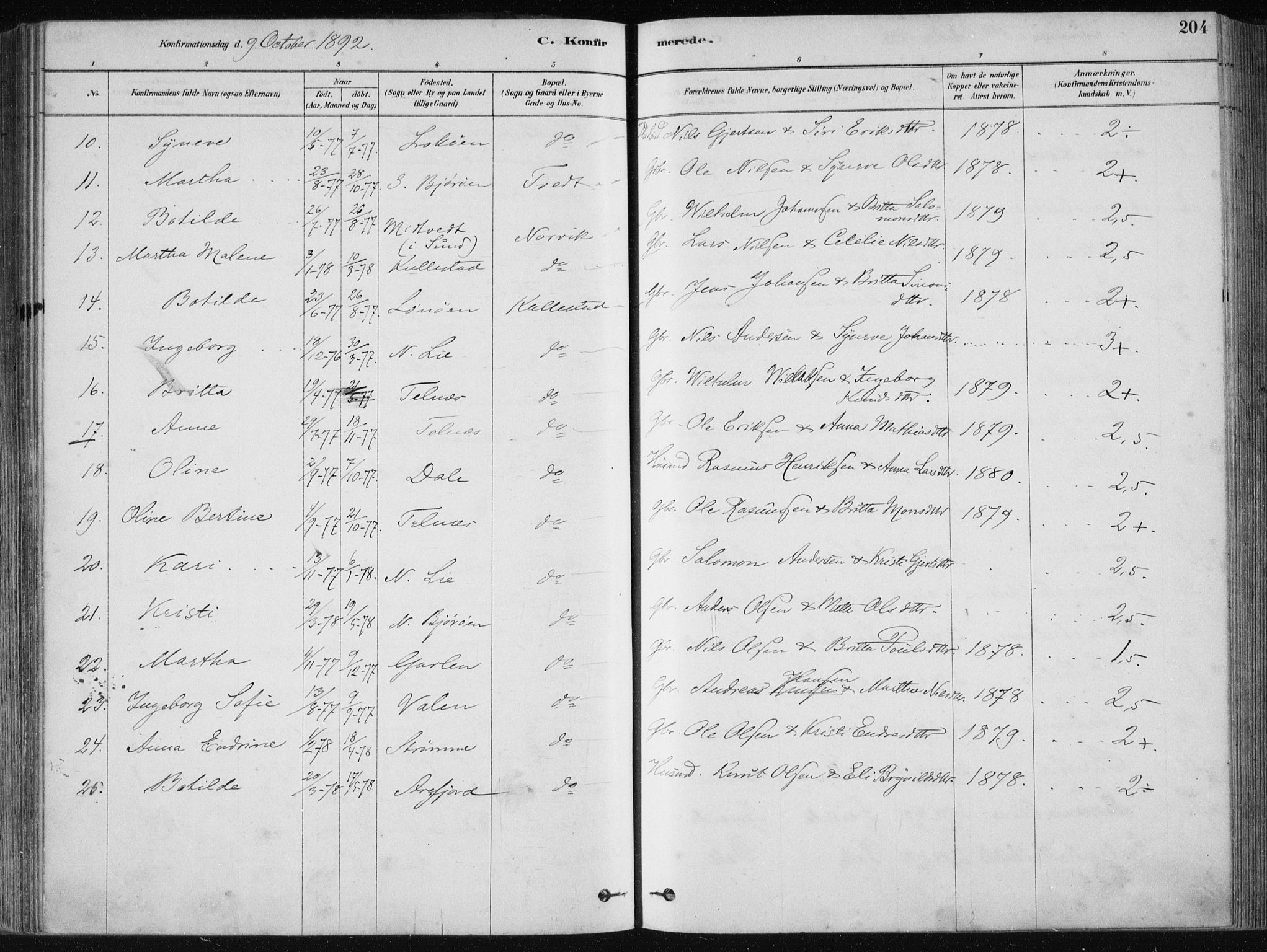 Fjell sokneprestembete, AV/SAB-A-75301/H/Haa: Ministerialbok nr. A  8, 1878-1898, s. 204