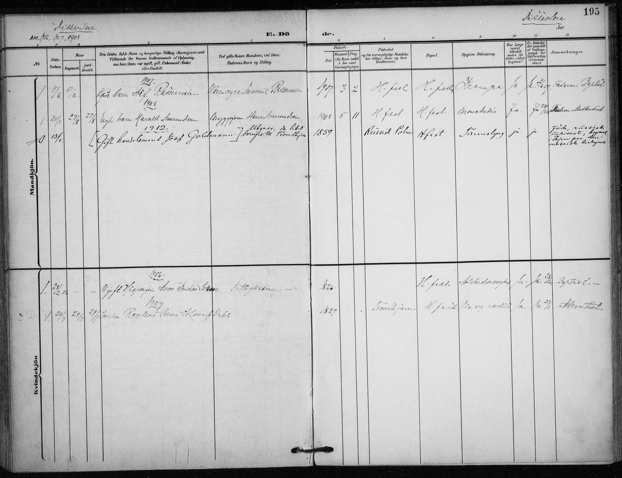 Hammerfest sokneprestkontor, AV/SATØ-S-1347/H/Ha/L0014.kirke: Ministerialbok nr. 14, 1906-1916, s. 195