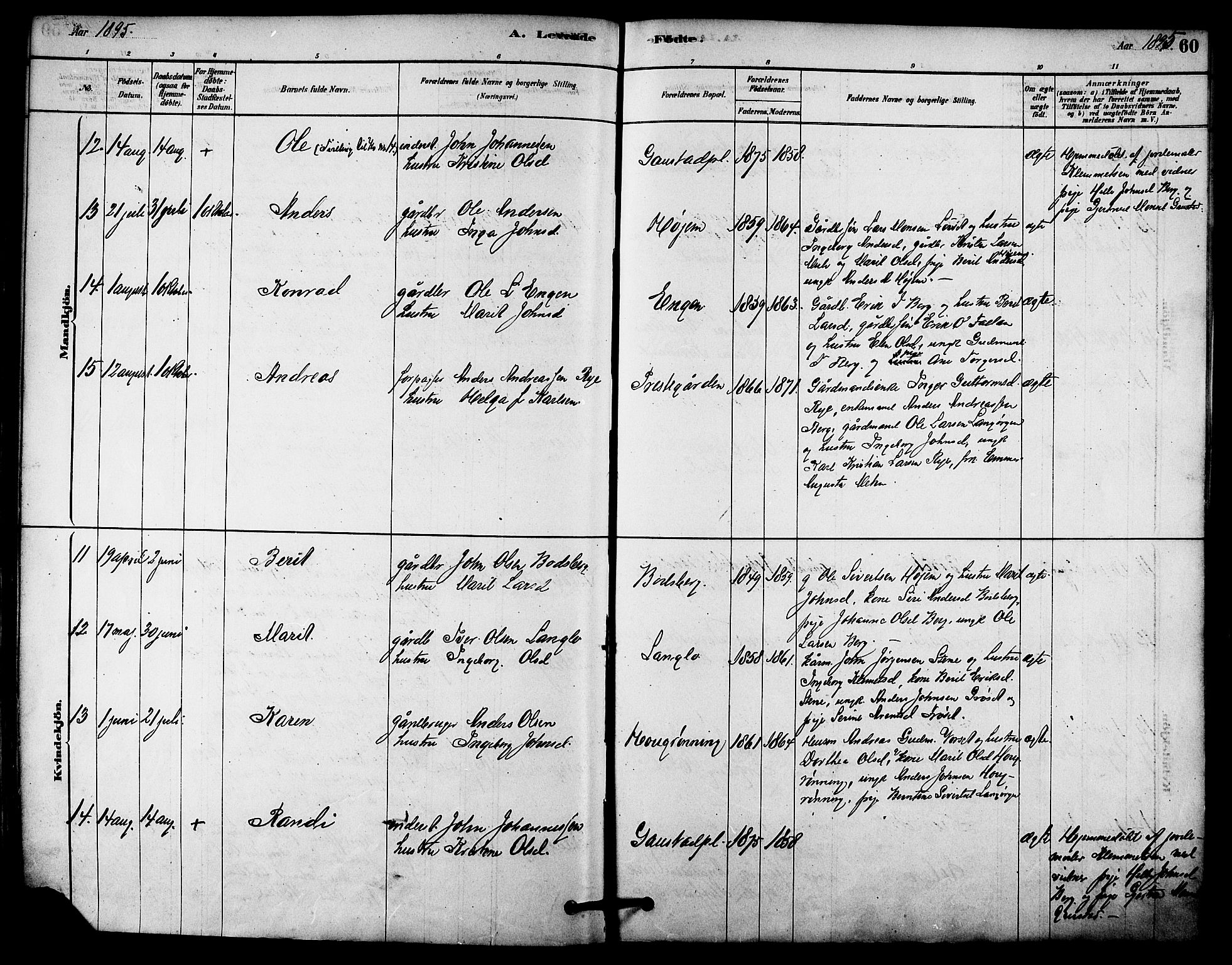 Ministerialprotokoller, klokkerbøker og fødselsregistre - Sør-Trøndelag, AV/SAT-A-1456/612/L0378: Ministerialbok nr. 612A10, 1878-1897, s. 60