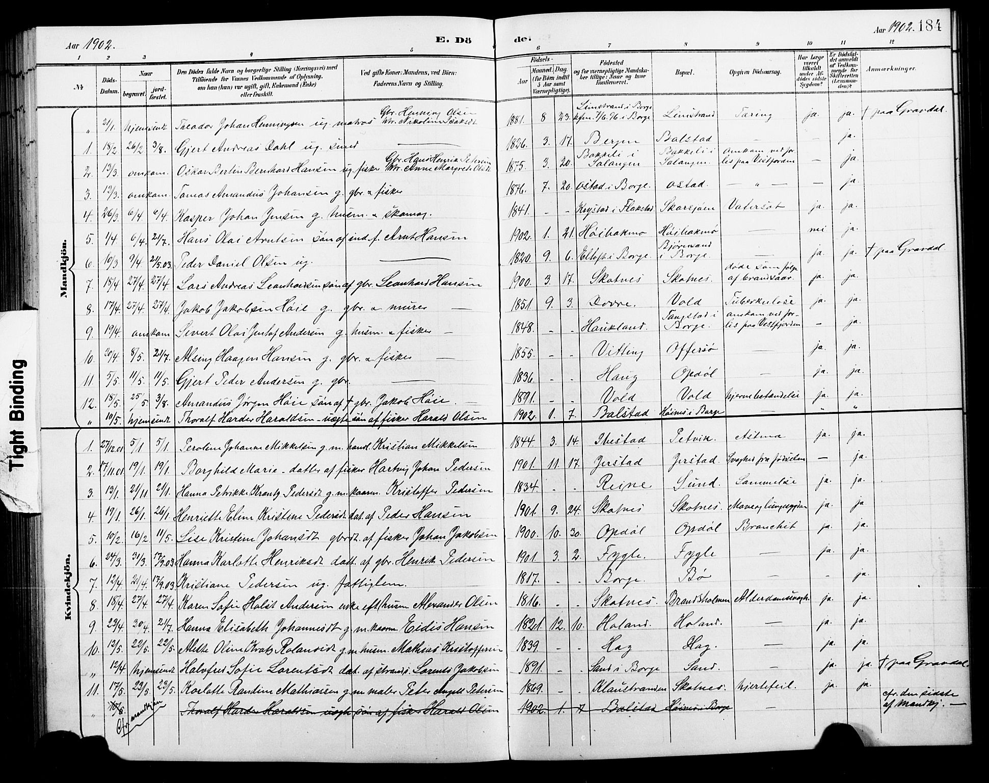 Ministerialprotokoller, klokkerbøker og fødselsregistre - Nordland, AV/SAT-A-1459/881/L1168: Klokkerbok nr. 881C05, 1900-1911, s. 184