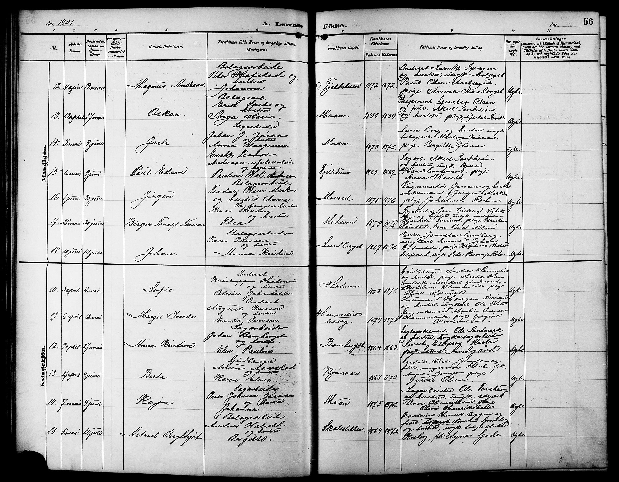 Ministerialprotokoller, klokkerbøker og fødselsregistre - Sør-Trøndelag, SAT/A-1456/617/L0431: Klokkerbok nr. 617C01, 1889-1910, s. 56