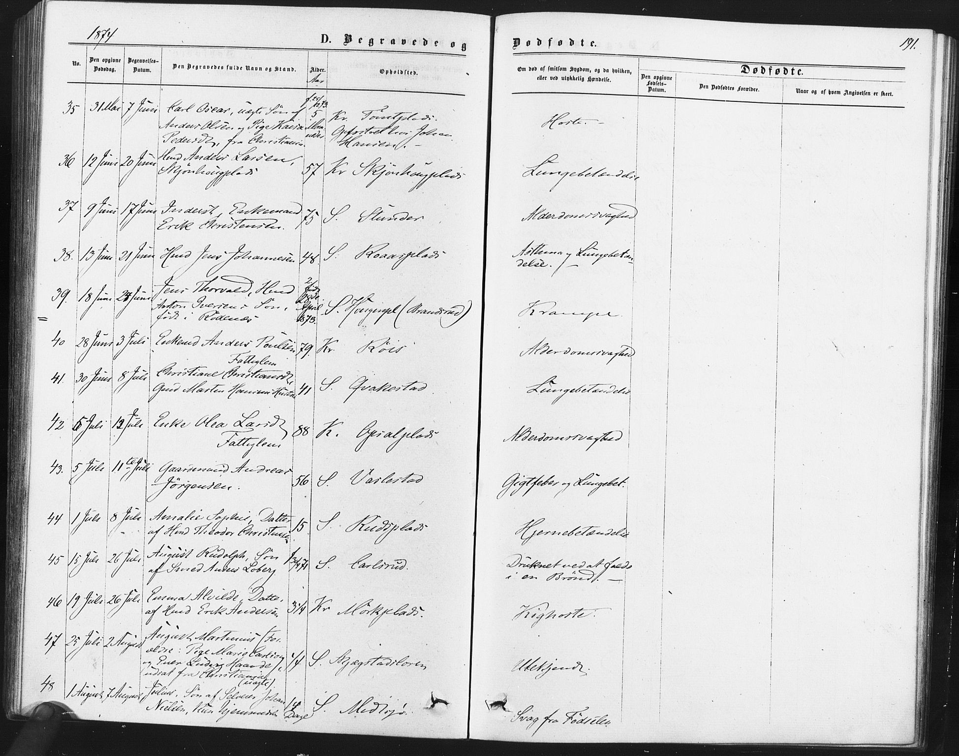 Kråkstad prestekontor Kirkebøker, AV/SAO-A-10125a/F/Fa/L0008: Ministerialbok nr. I 8, 1870-1879, s. 191