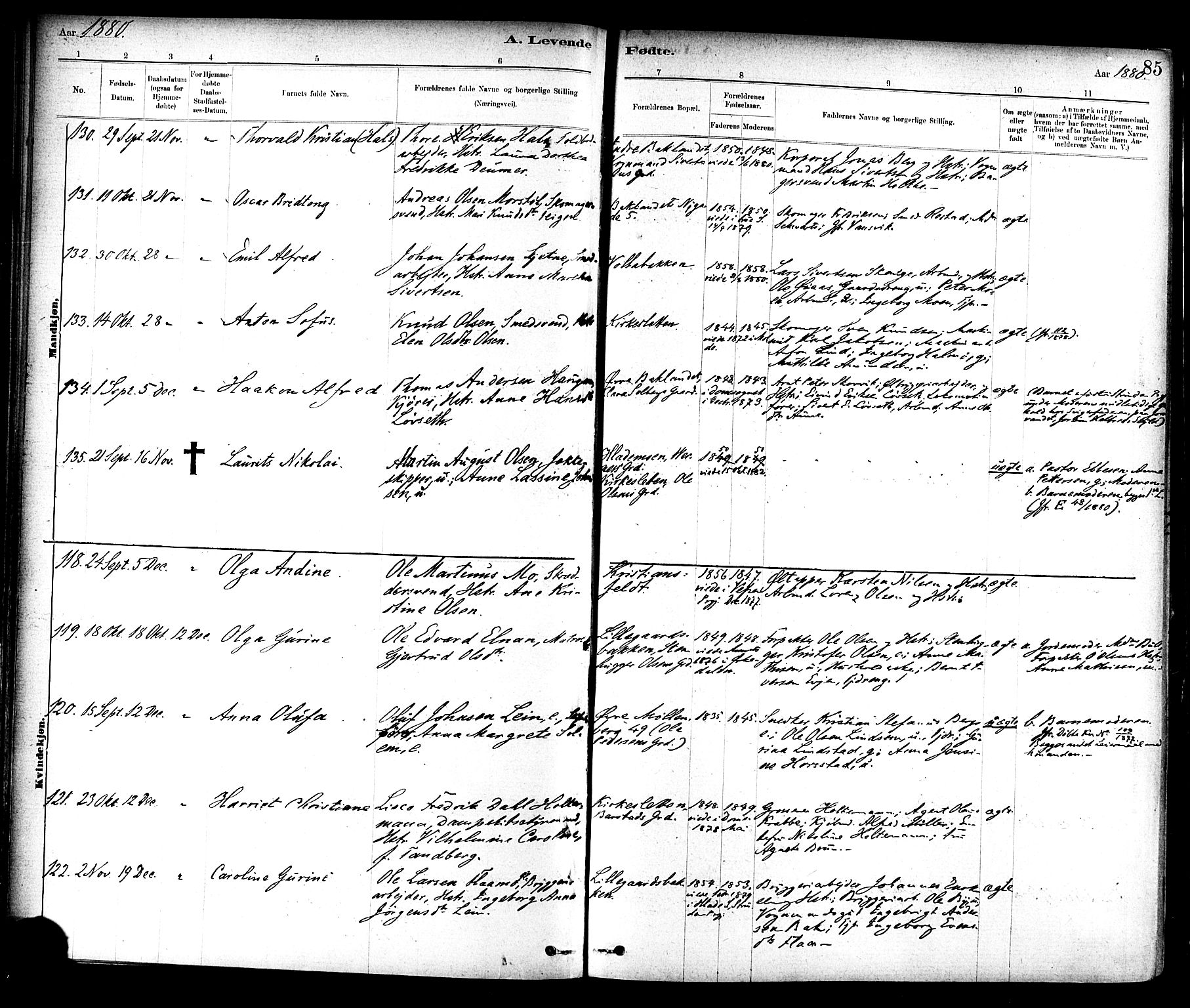 Ministerialprotokoller, klokkerbøker og fødselsregistre - Sør-Trøndelag, SAT/A-1456/604/L0188: Ministerialbok nr. 604A09, 1878-1892, s. 85