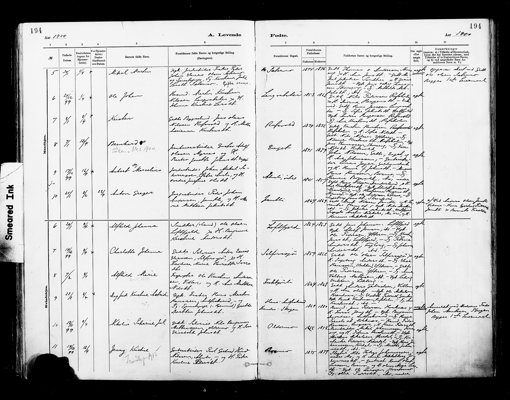 Ministerialprotokoller, klokkerbøker og fødselsregistre - Nordland, AV/SAT-A-1459/827/L0400: Ministerialbok nr. 827A12, 1883-1903, s. 194