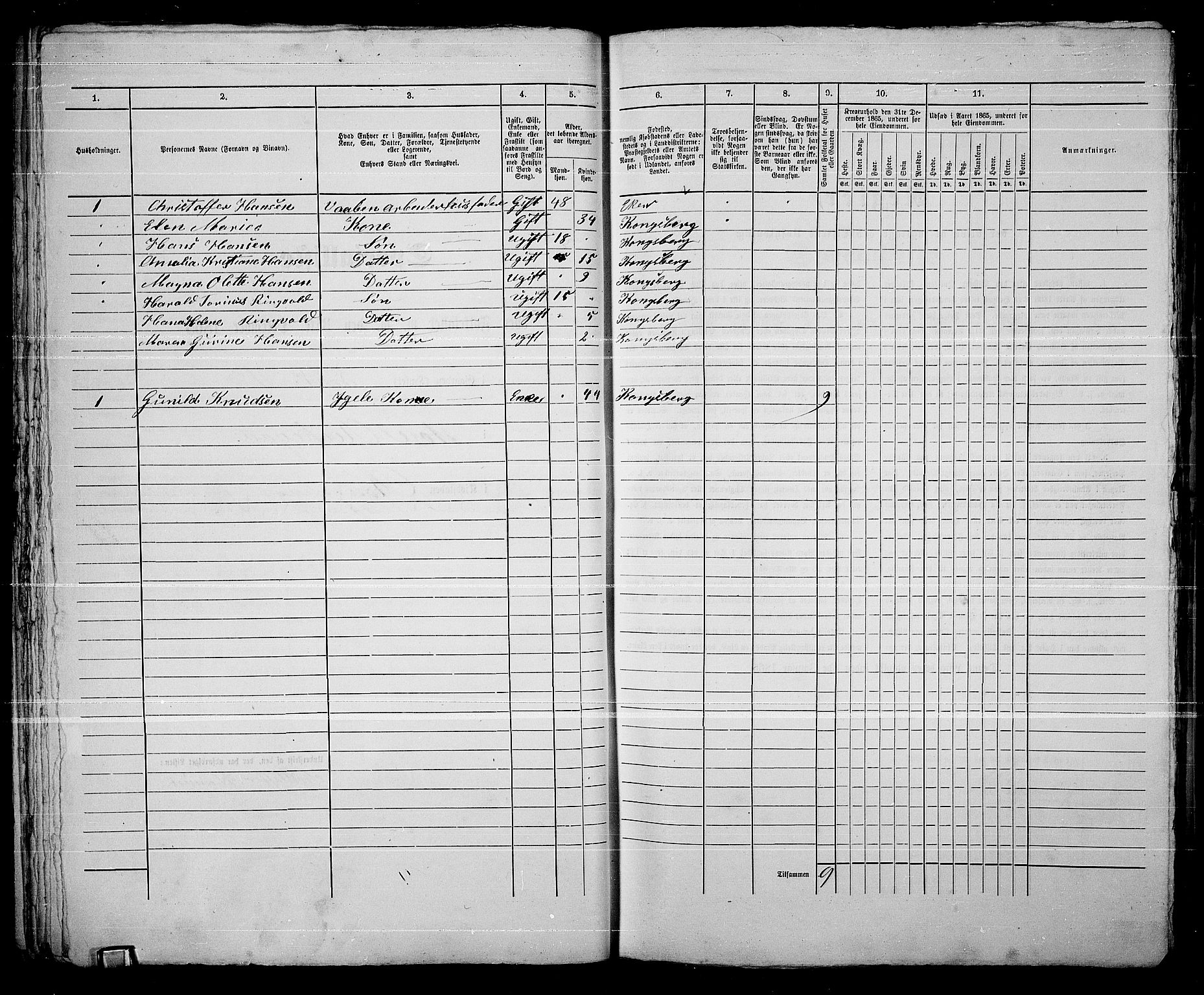 RA, Folketelling 1865 for 0604B Kongsberg prestegjeld, Kongsberg kjøpstad, 1865, s. 42