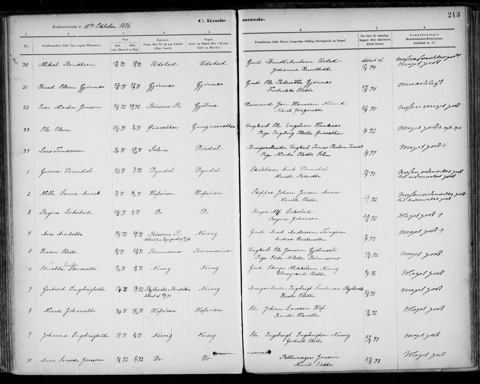 Ministerialprotokoller, klokkerbøker og fødselsregistre - Sør-Trøndelag, SAT/A-1456/668/L0809: Ministerialbok nr. 668A09, 1881-1895, s. 243