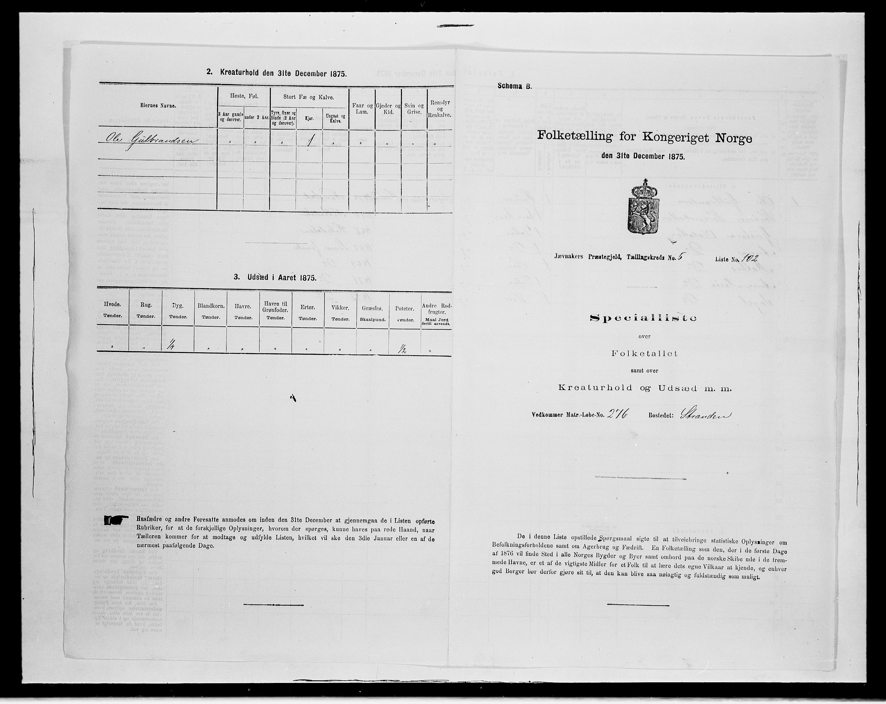 SAH, Folketelling 1875 for 0532P Jevnaker prestegjeld, 1875, s. 1010